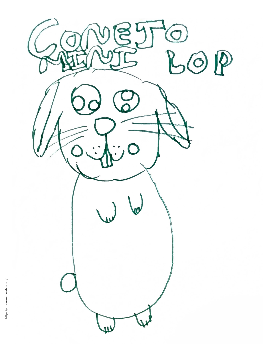 dibujo de conejo minilop para colorear a lapiz, conejito con orejas caidas hecho a mano