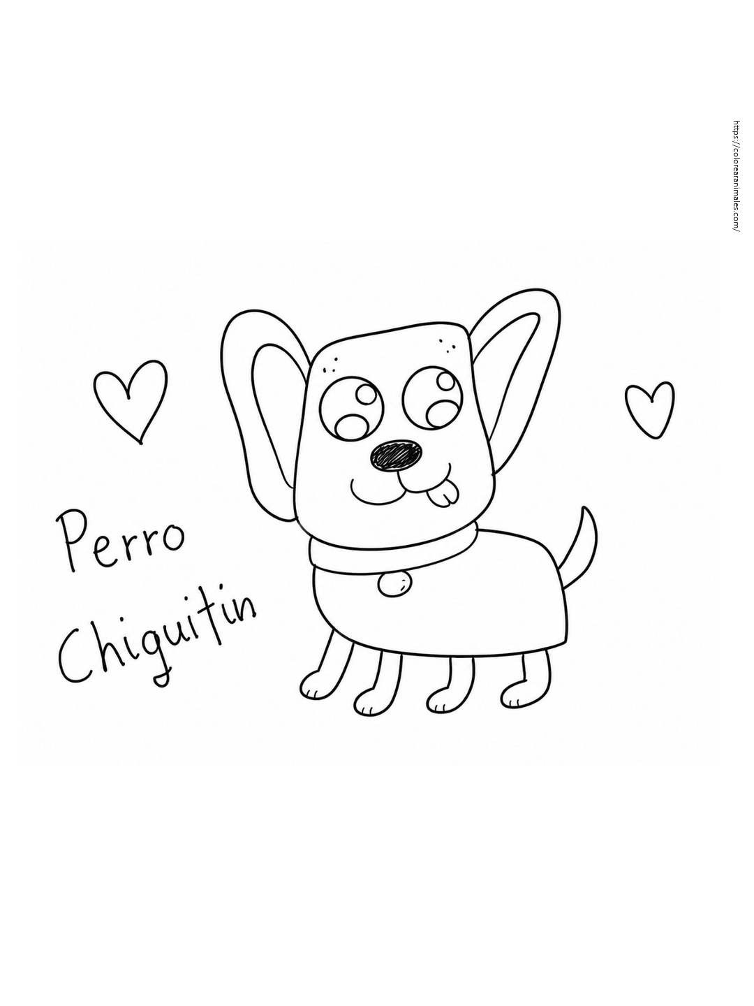Chihuahua para colorear con orejas grandes — dibujado por Lara