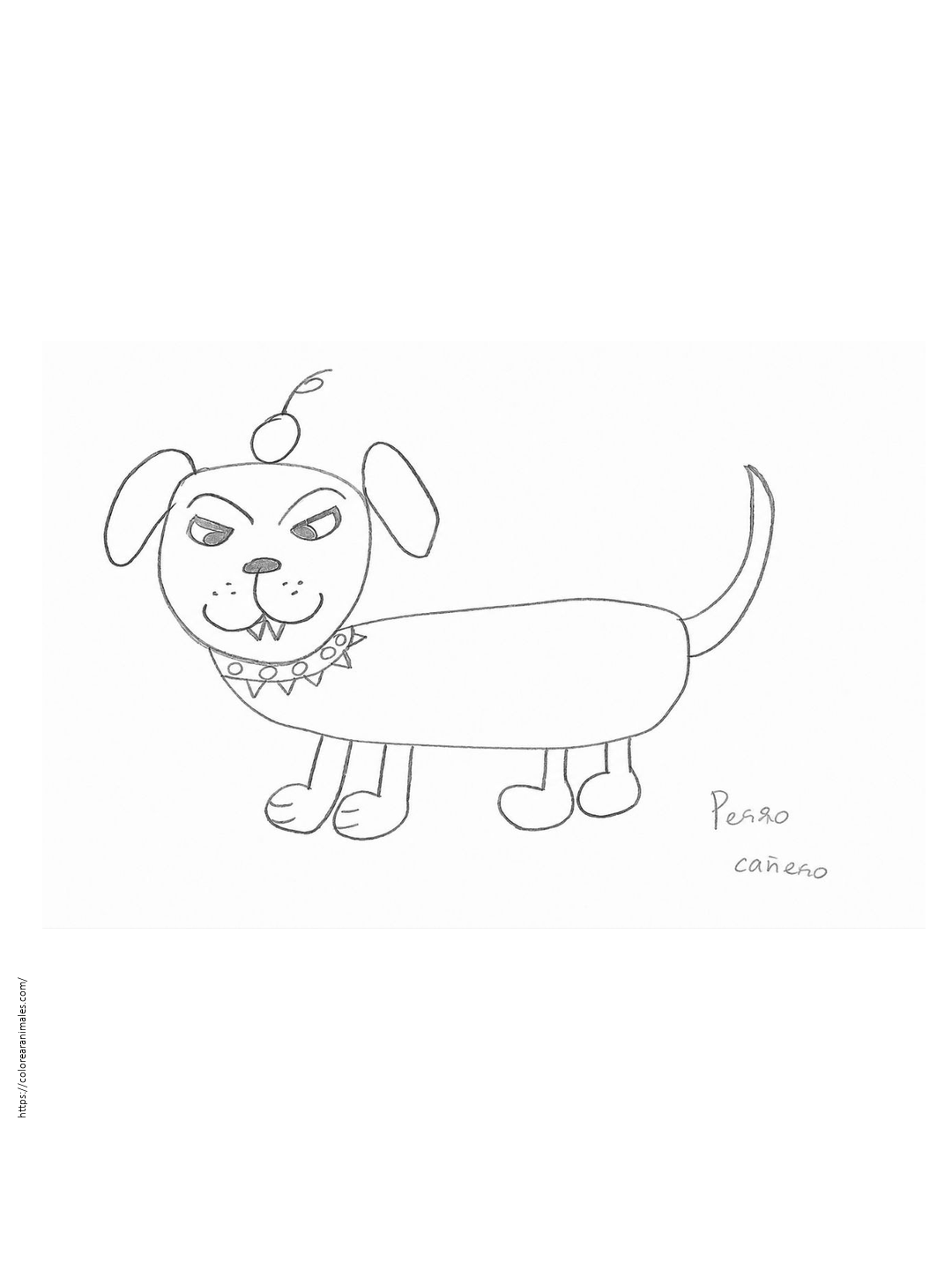 Perro salchicha con collar de pinchos para colorear — dibujado por Lara