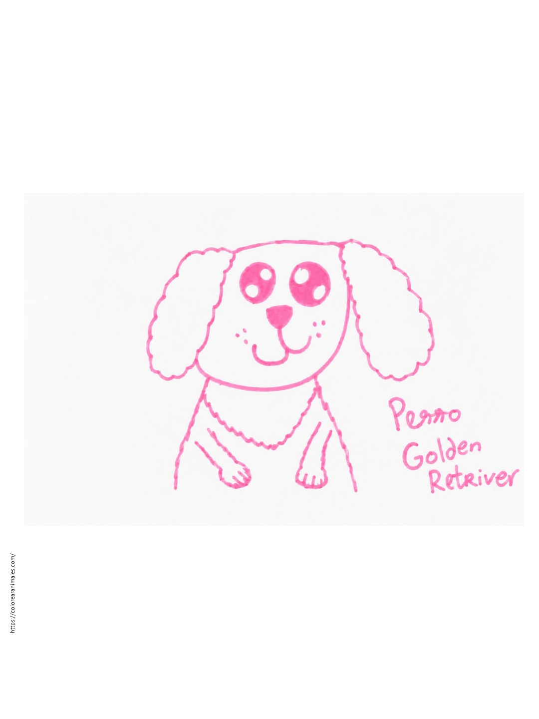 Perro golden retriever para colorear — dibujado por Lara