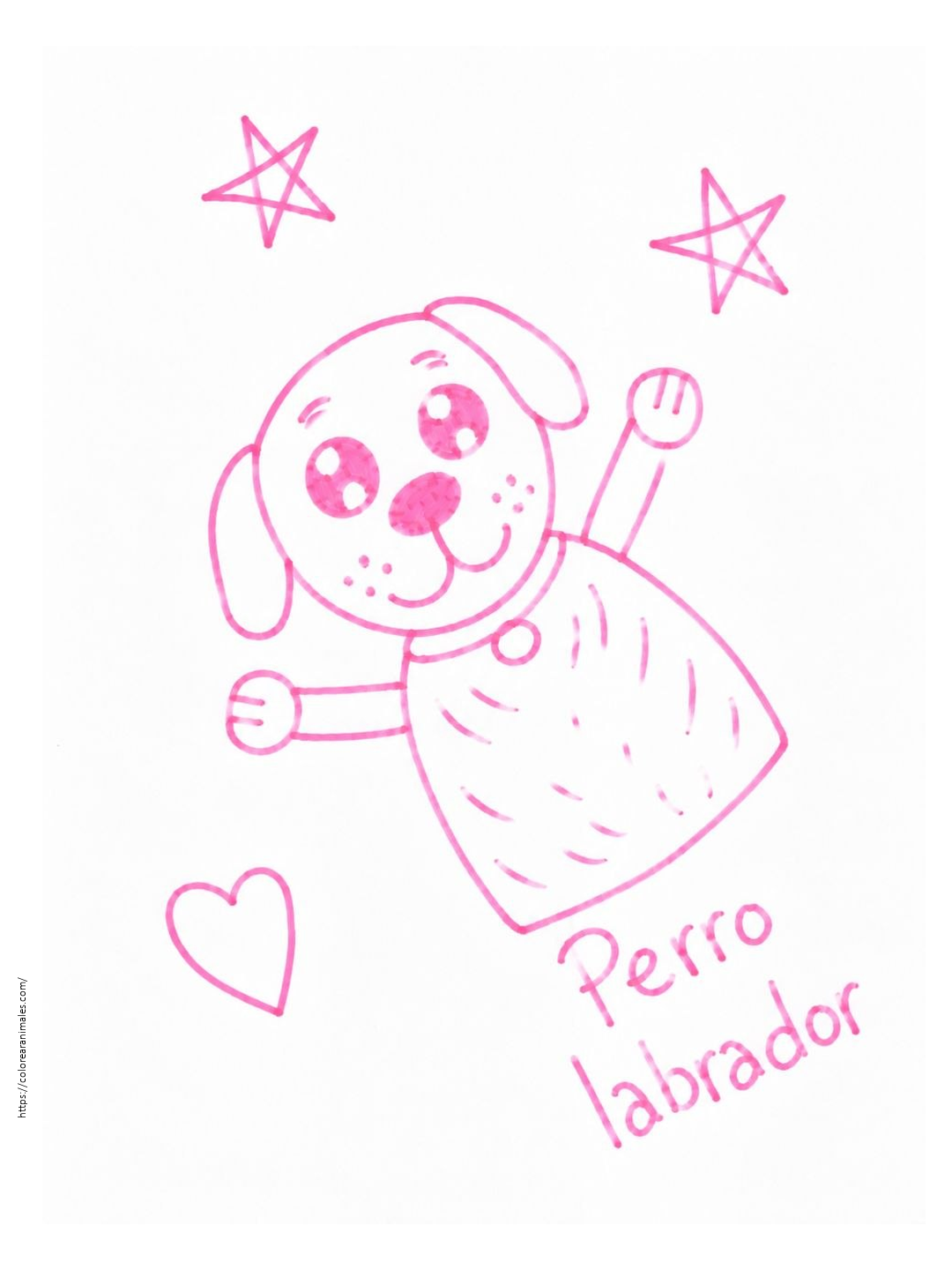 Perro labrador para colorear — dibujado por Lara