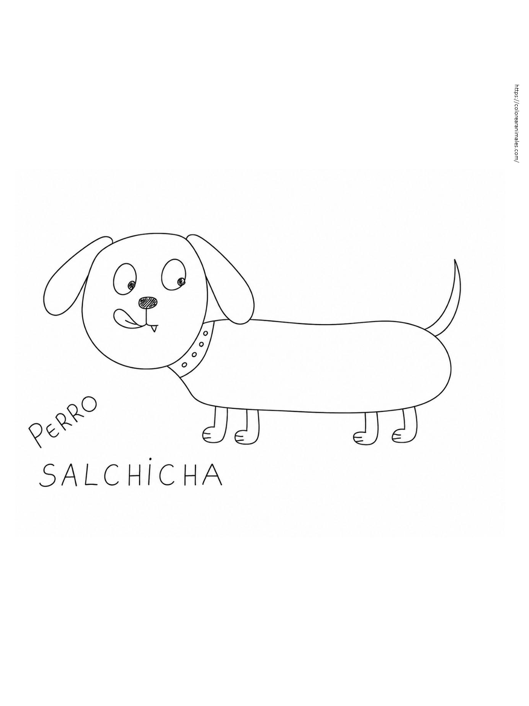Perro salchicha de perfil para colorear — dibujado por Lara