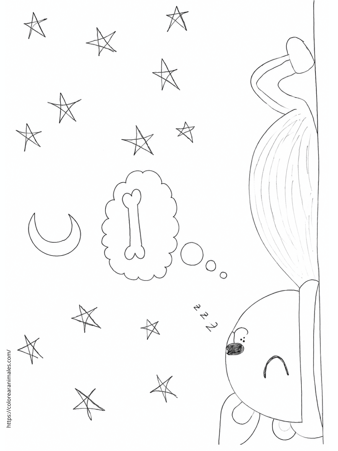 Perro durmiendo para colorear — dibujado por Lara