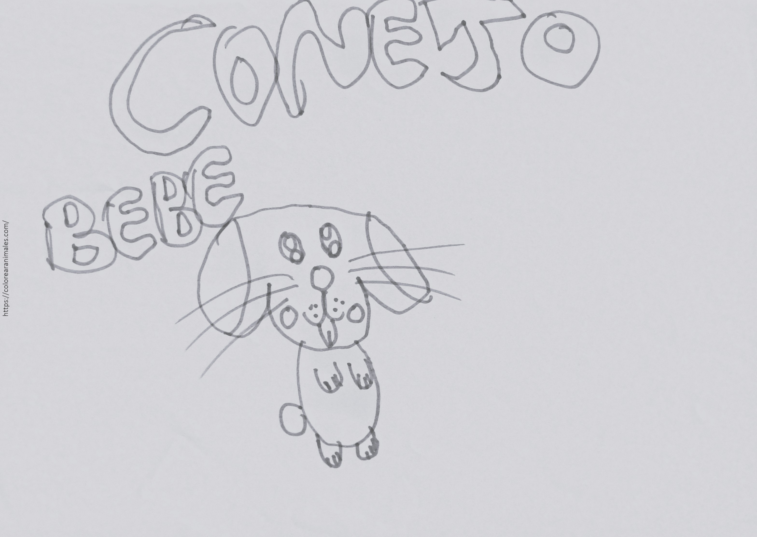 Conejo bebé para colorear con orejas grandes y cara tierna, dibujo a lápiz