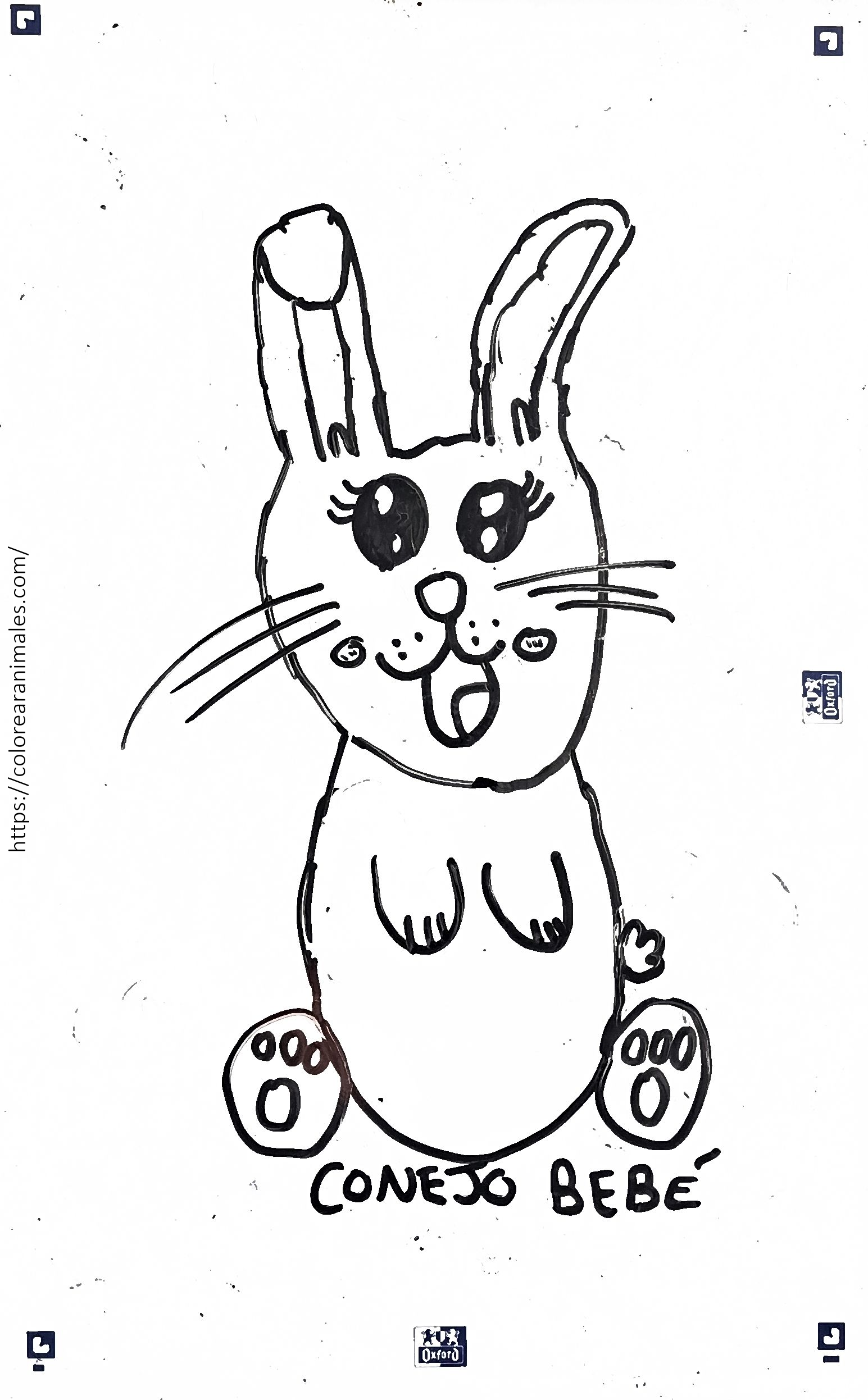 Dibujo para colorear de un conejo bebé con una oreja caída y la lengua fuera