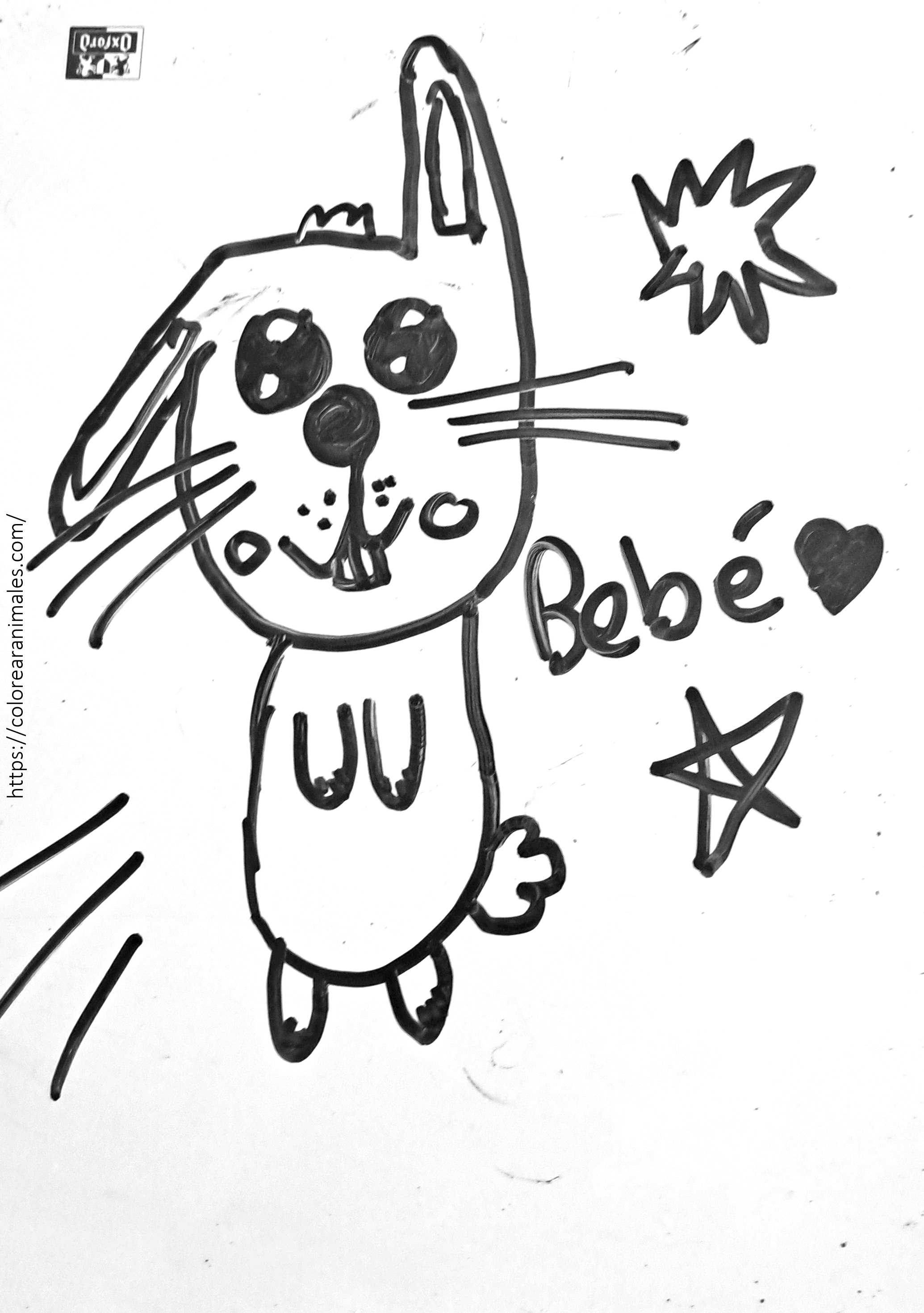 Dibujo para colorear de un conejo bebé sonriente con un corazón y una estrella