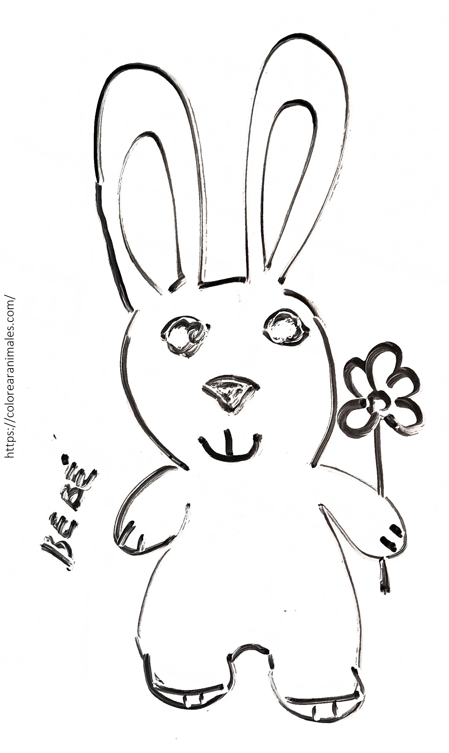 Conejo bebé para colorear, dibujo tierno para niños
