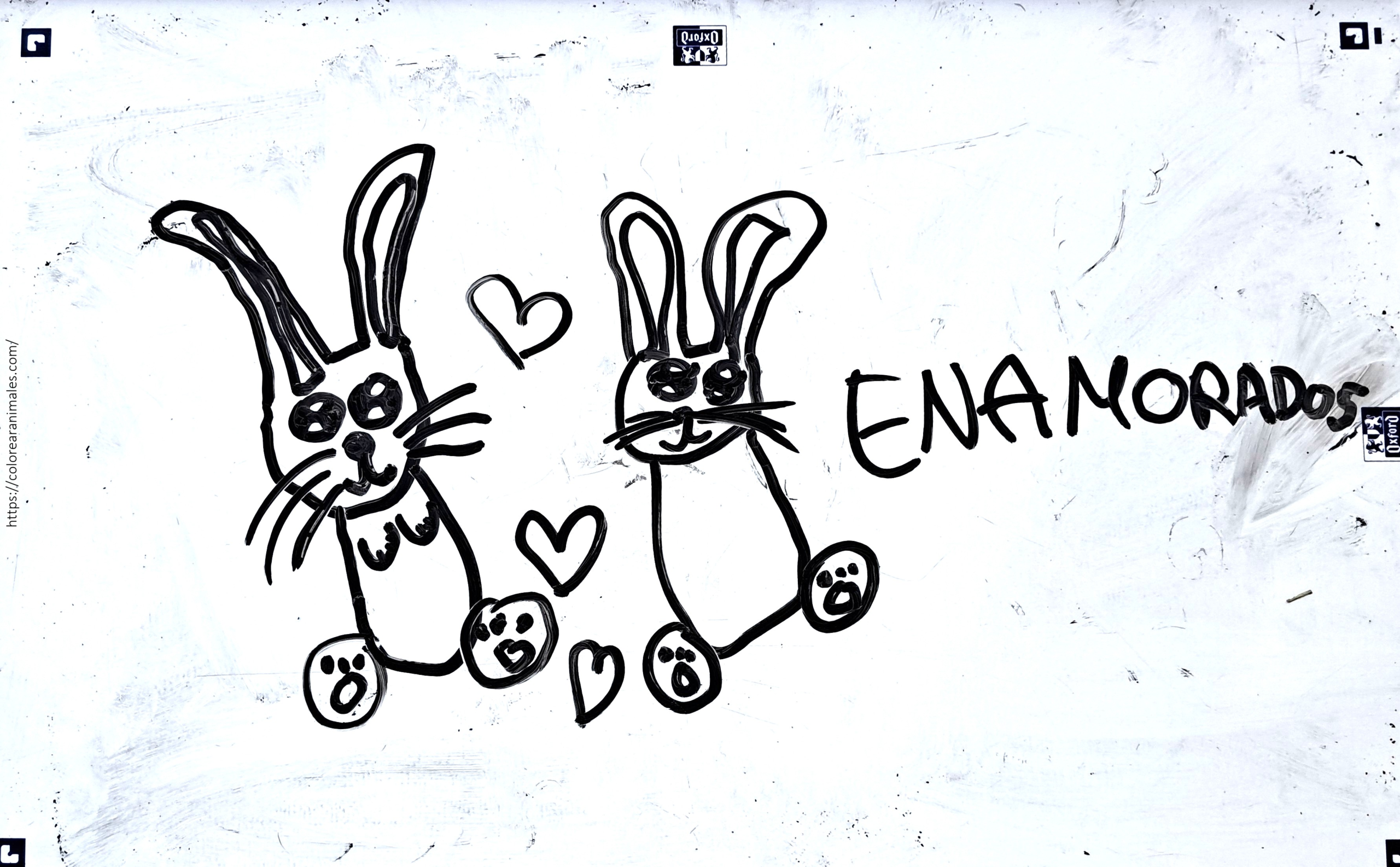 Dibujo de conejos enamorados para colorear niños