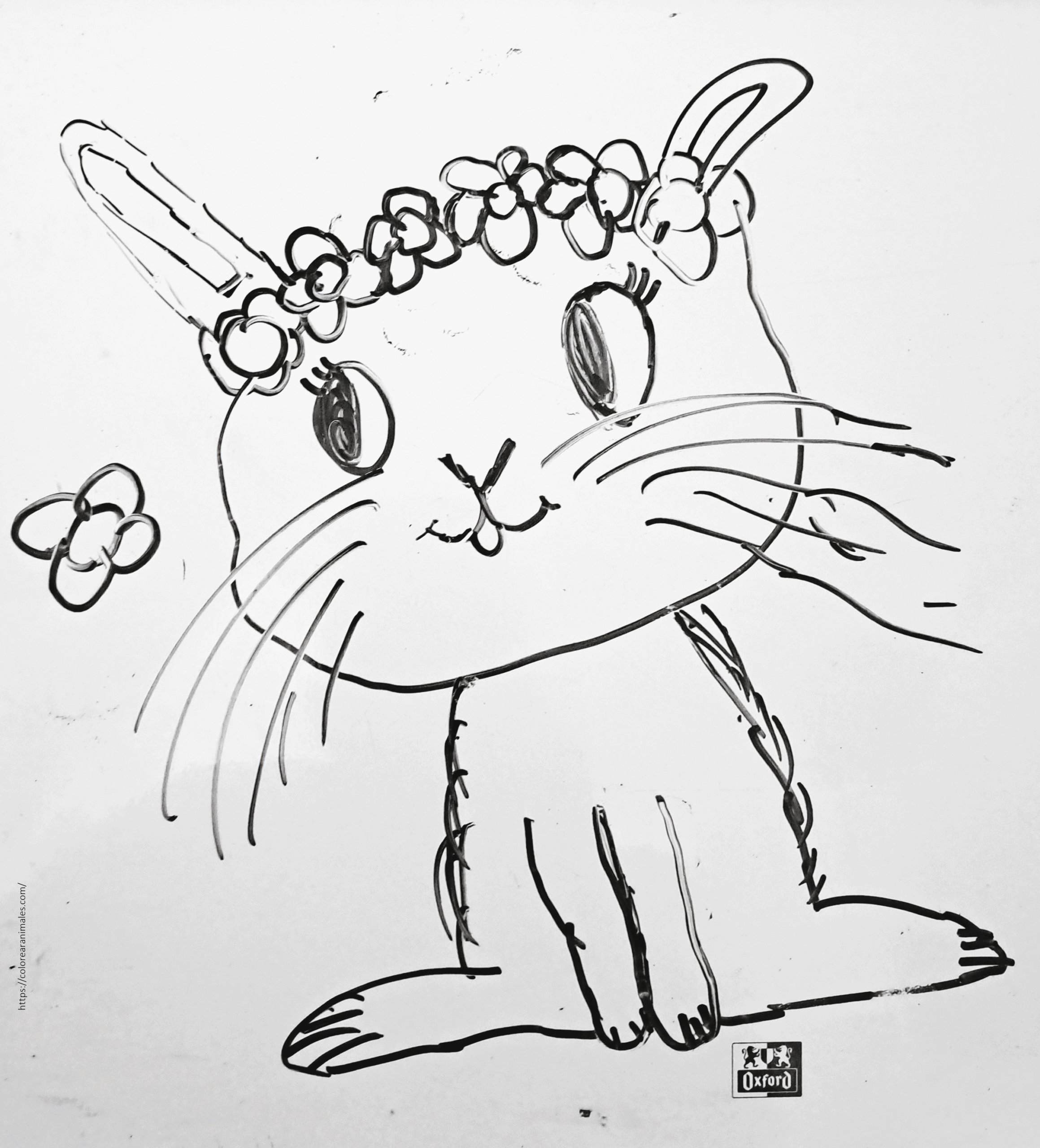 conejo con corona de flores para colorear, dibujo tierno para niños