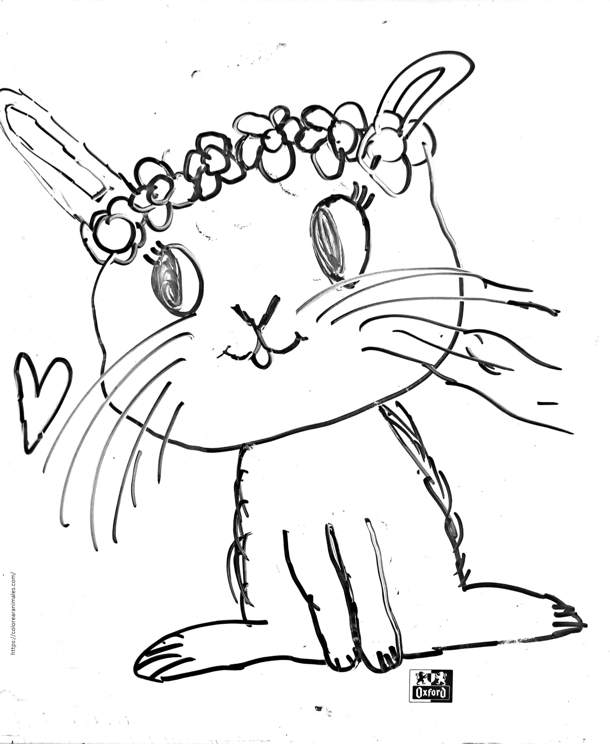 conejo kawaii con corona de flores para colorear, dibujo tierno para niños
