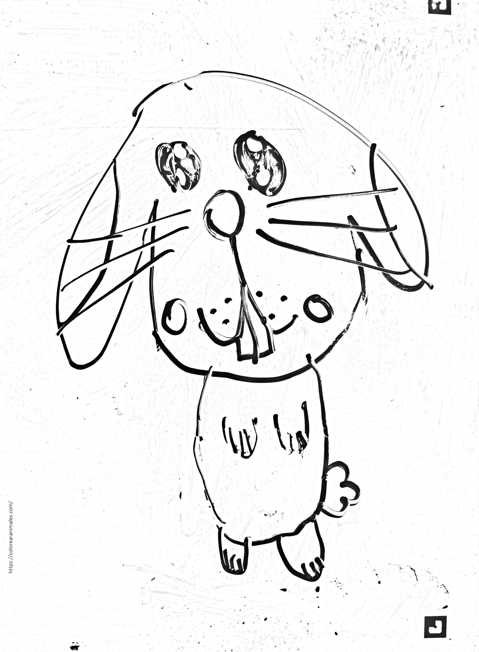 conejo minilop de orejas caídas para colorear, dibujo tierno para niños