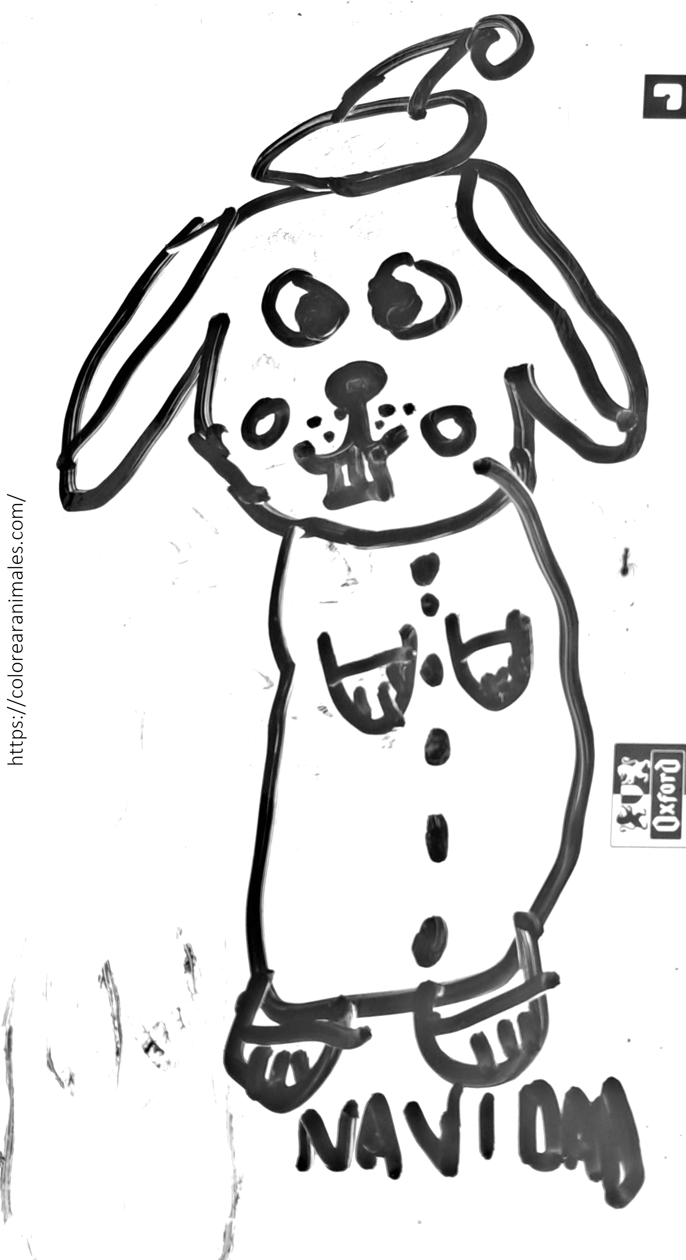 Dibujo para colorear de un conejo de Navidad con gorro y abrigo con botones