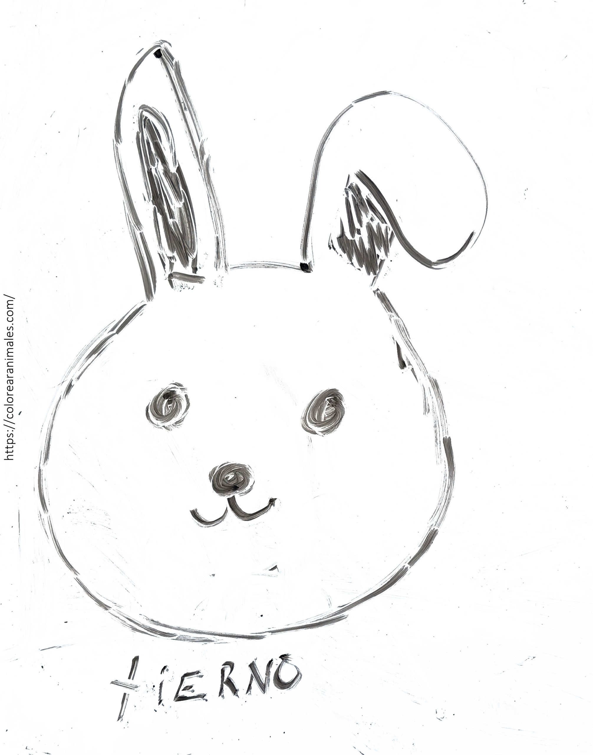 Conejo tierno para colorear, dibujo bonito para niños
