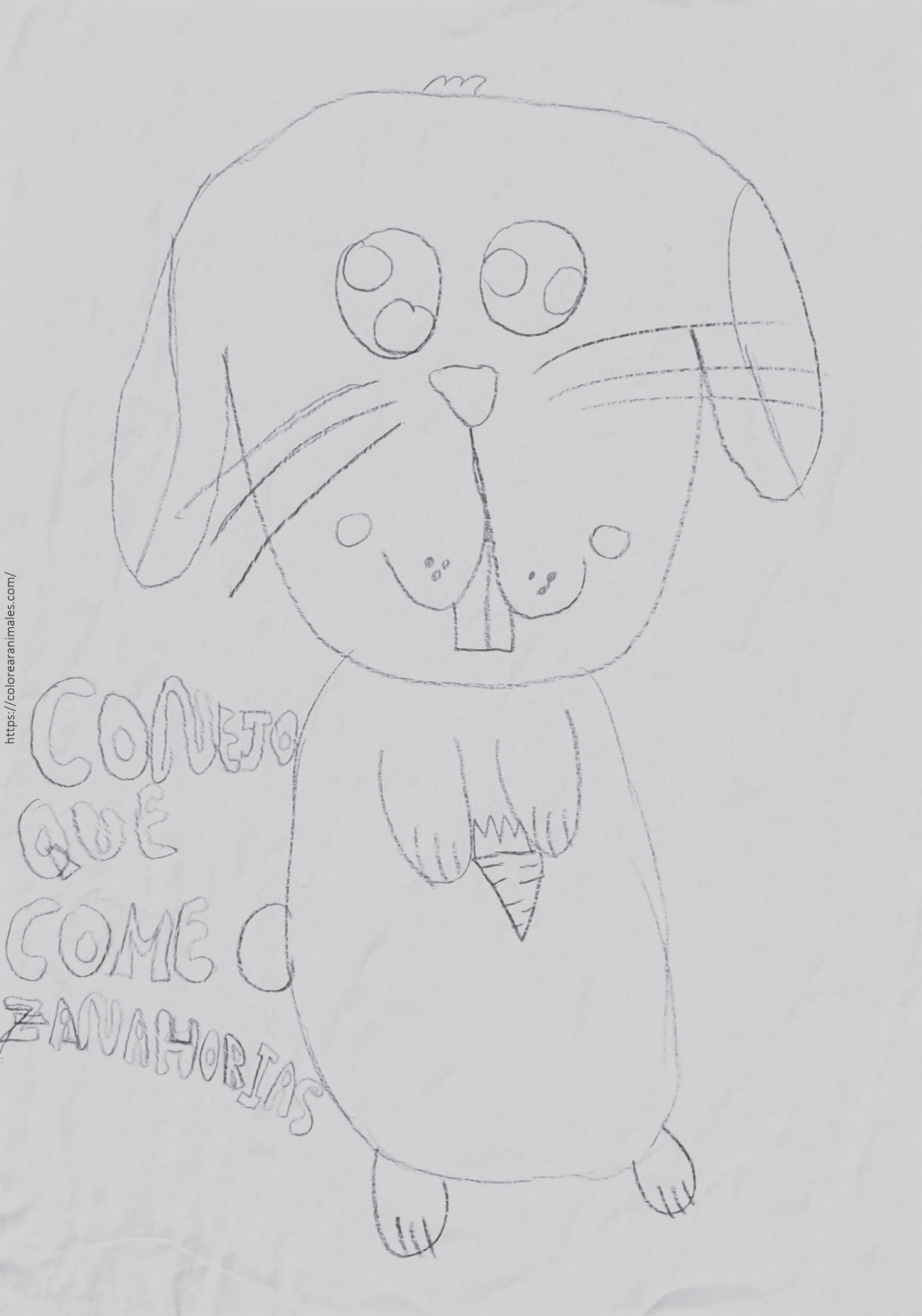 Conejo redondo para colorear sujetando una zanahoria, dibujo infantil a lápiz