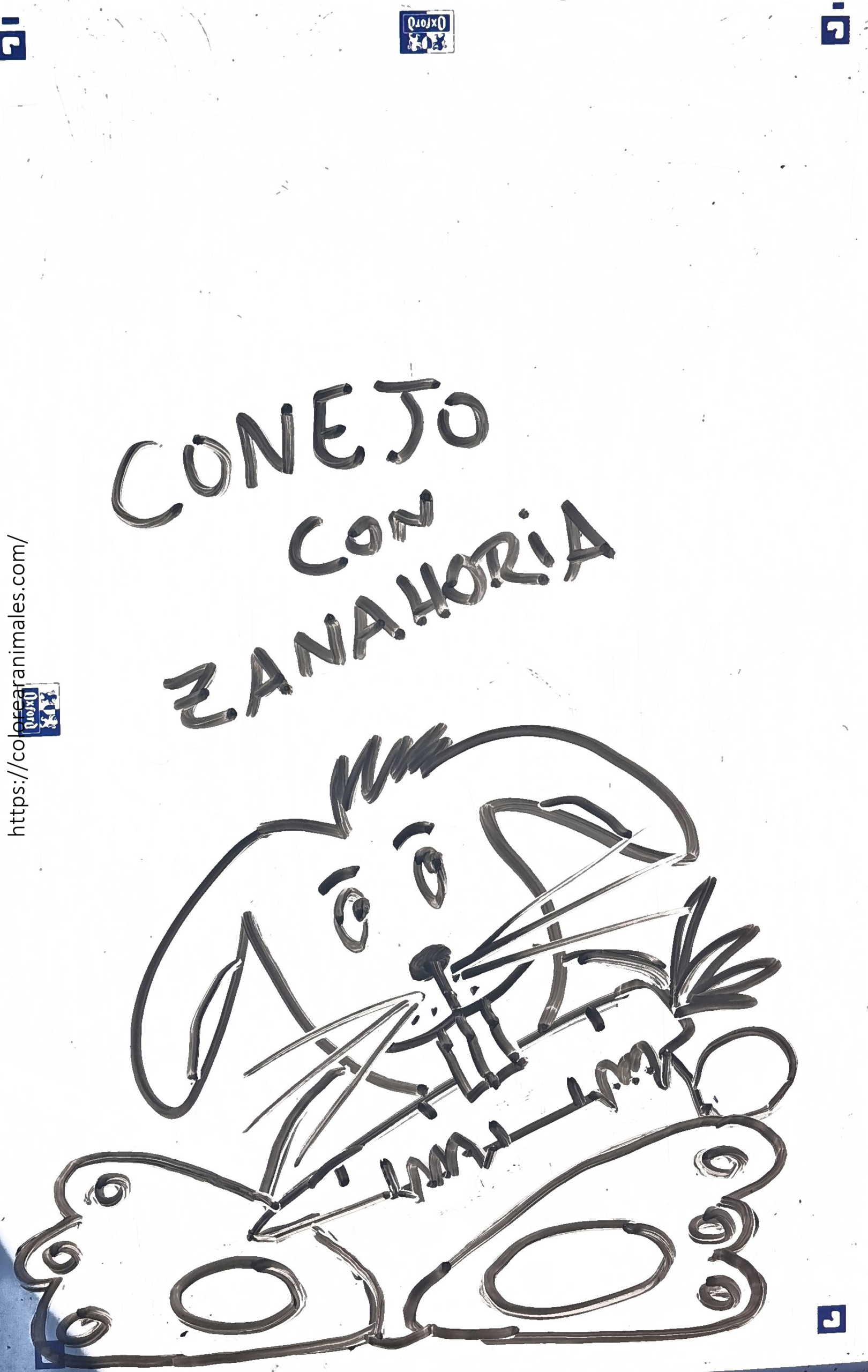 Conejito comiendo zanahoria para colorear niños