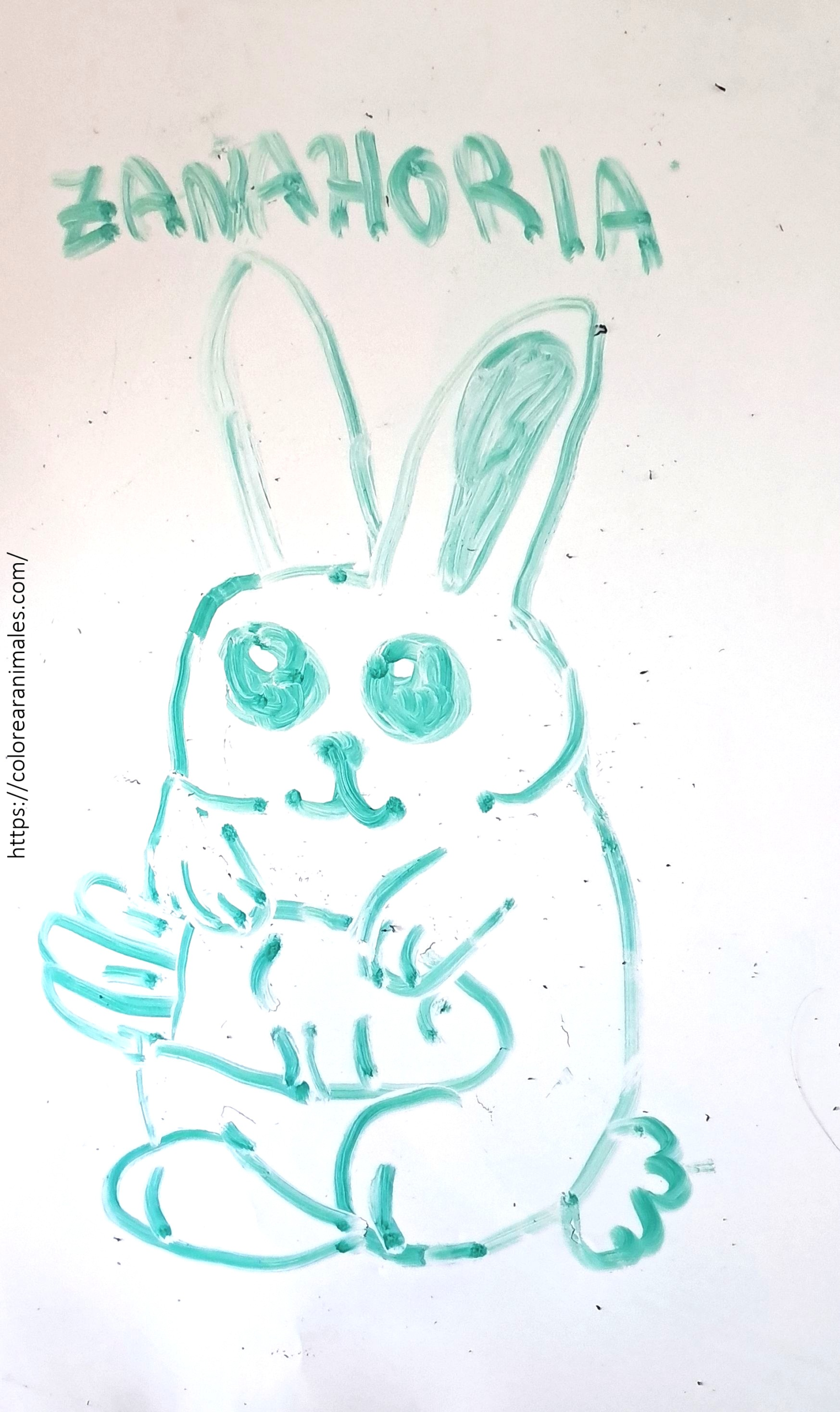 Dibujo de conejo y zanahoria para colorear fácil