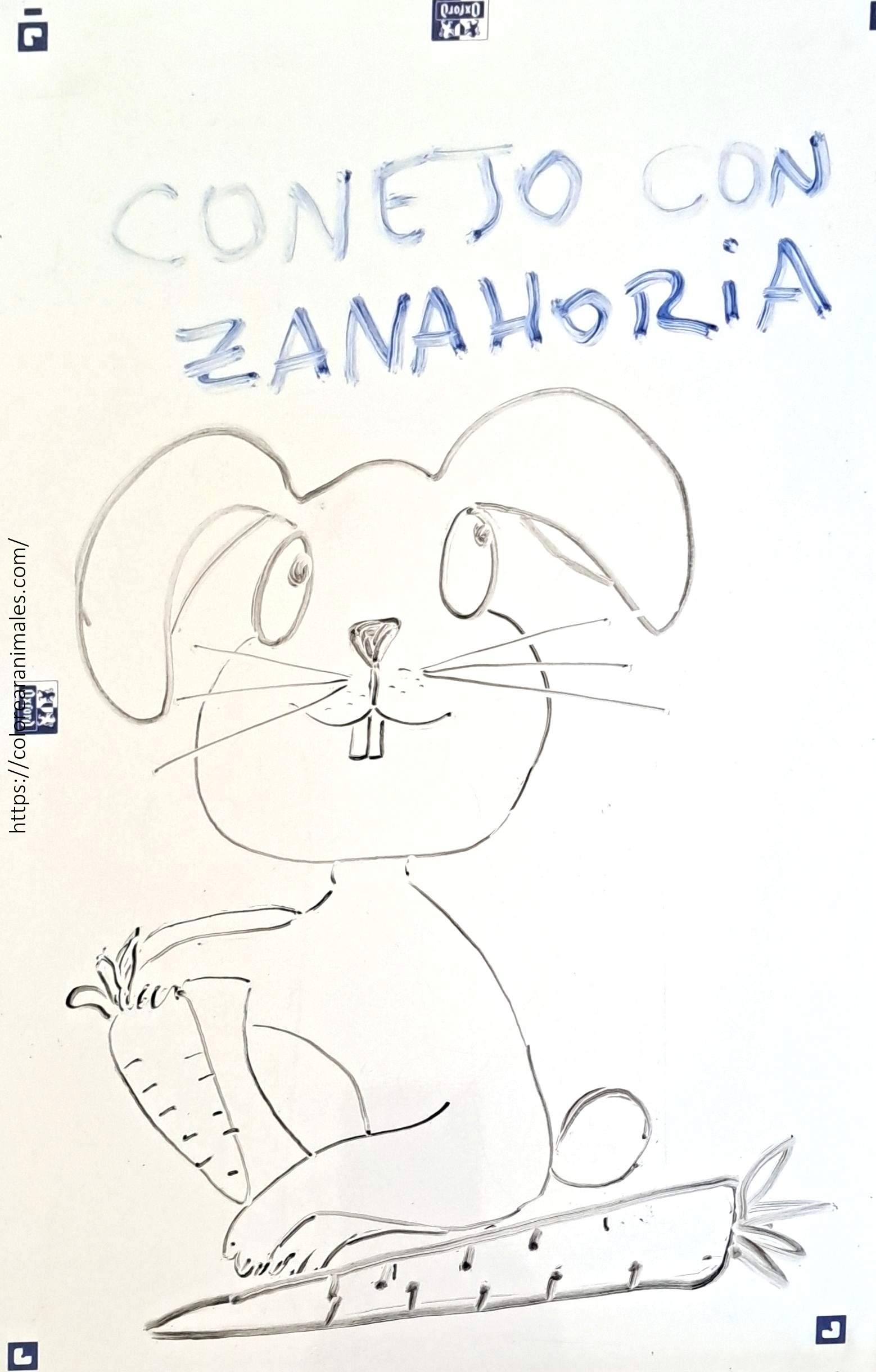 Conejo hambriento con zanahoria para colorear gratis