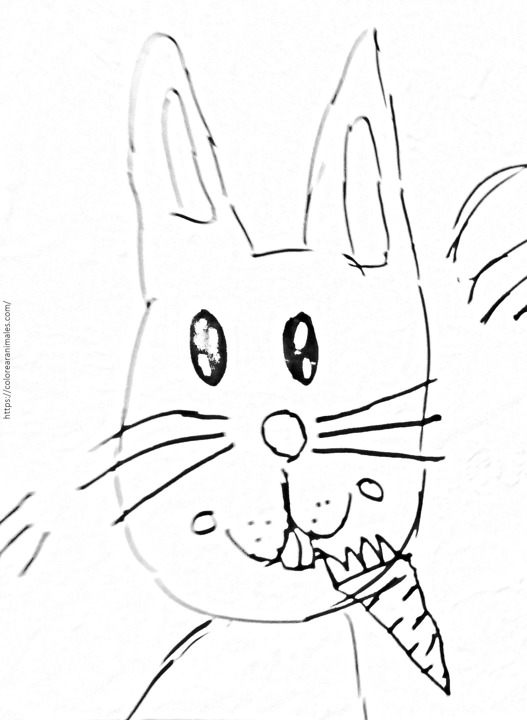 Conejo mordiendo zanahoria para colorear, primer plano en tinta negra