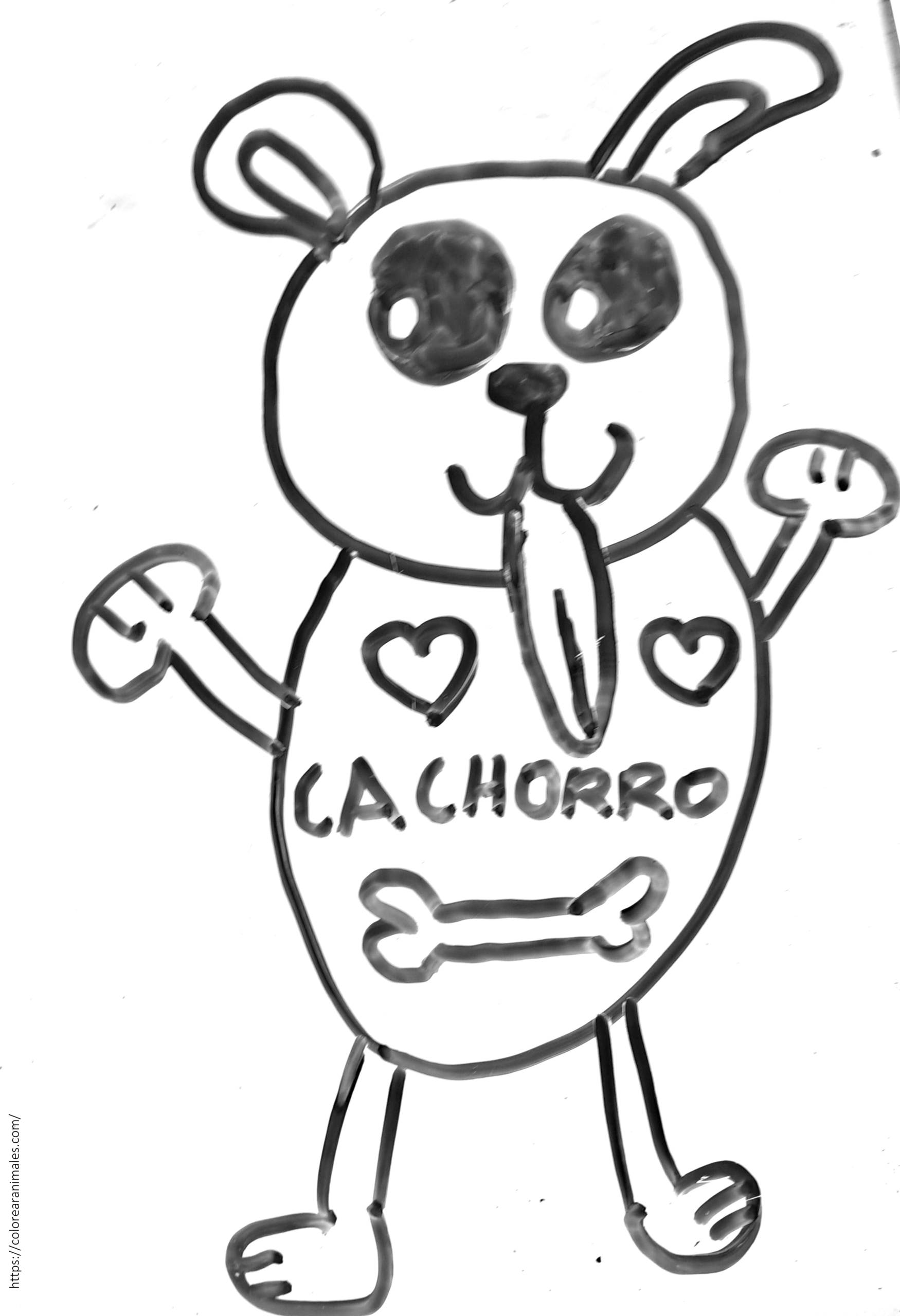 Cachorro de perro con corazones y un hueso en la barriga para colorear