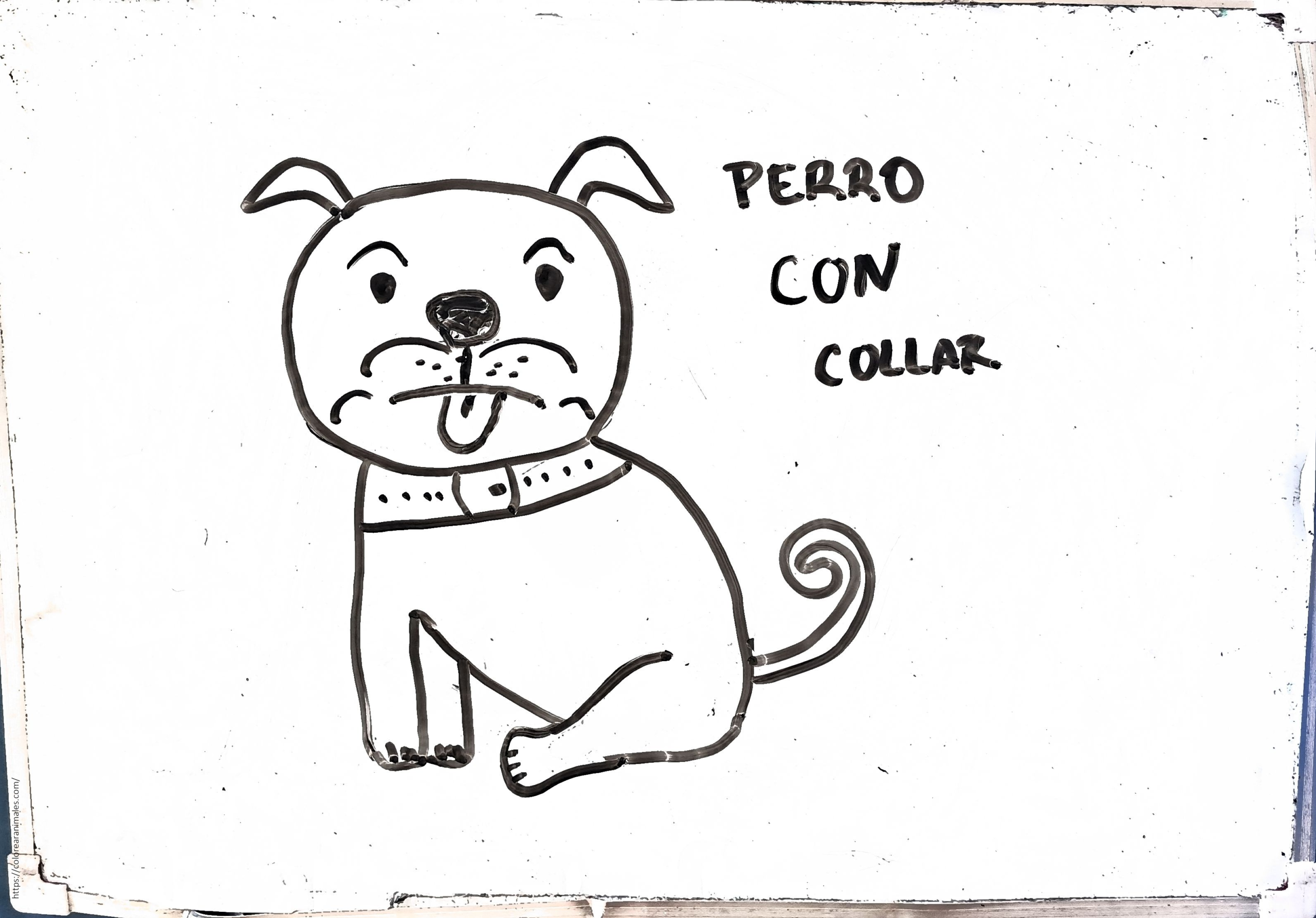 Dibujo de perro bulldog sentado con collar para colorear
