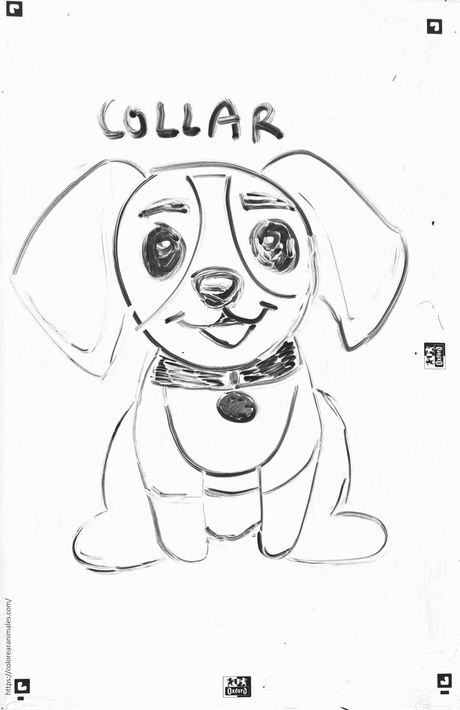 Cachorro con collar y medalla para colorear
