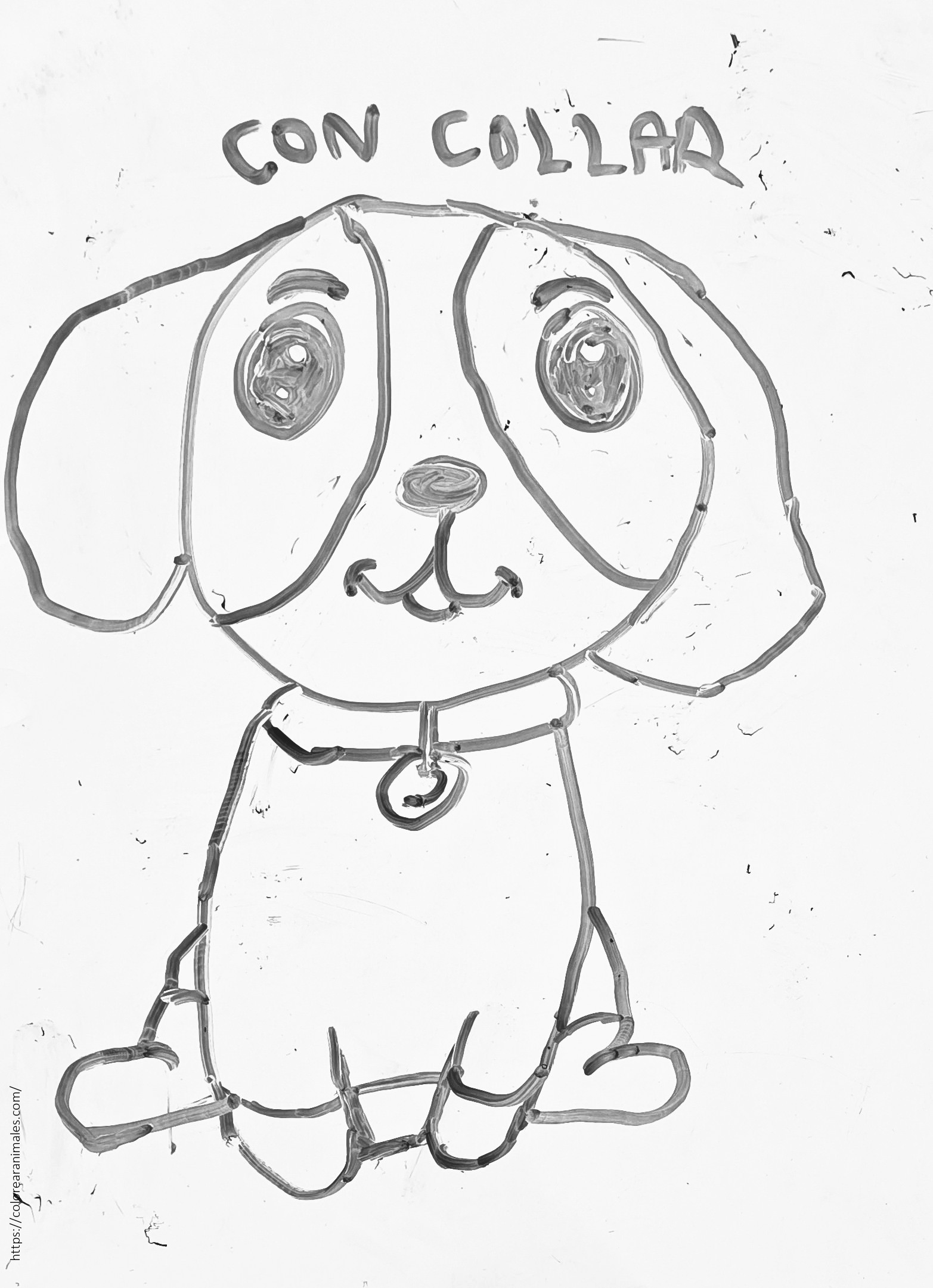Perro de orejas largas con collar y medalla para colorear