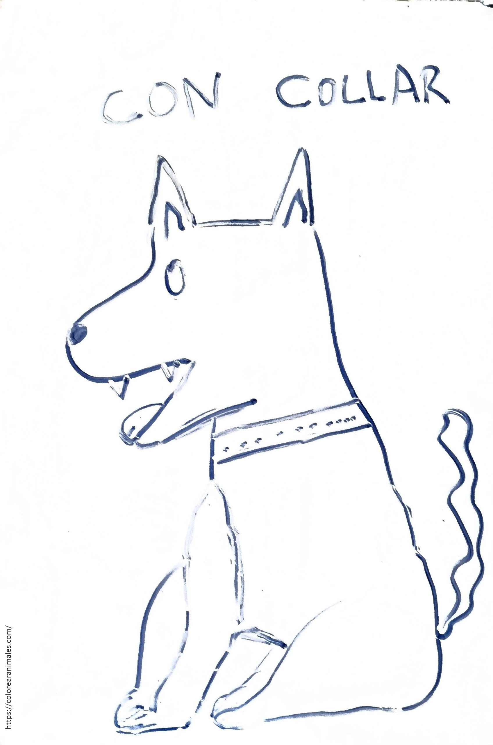 Perro sentado de perfil con collar para colorear