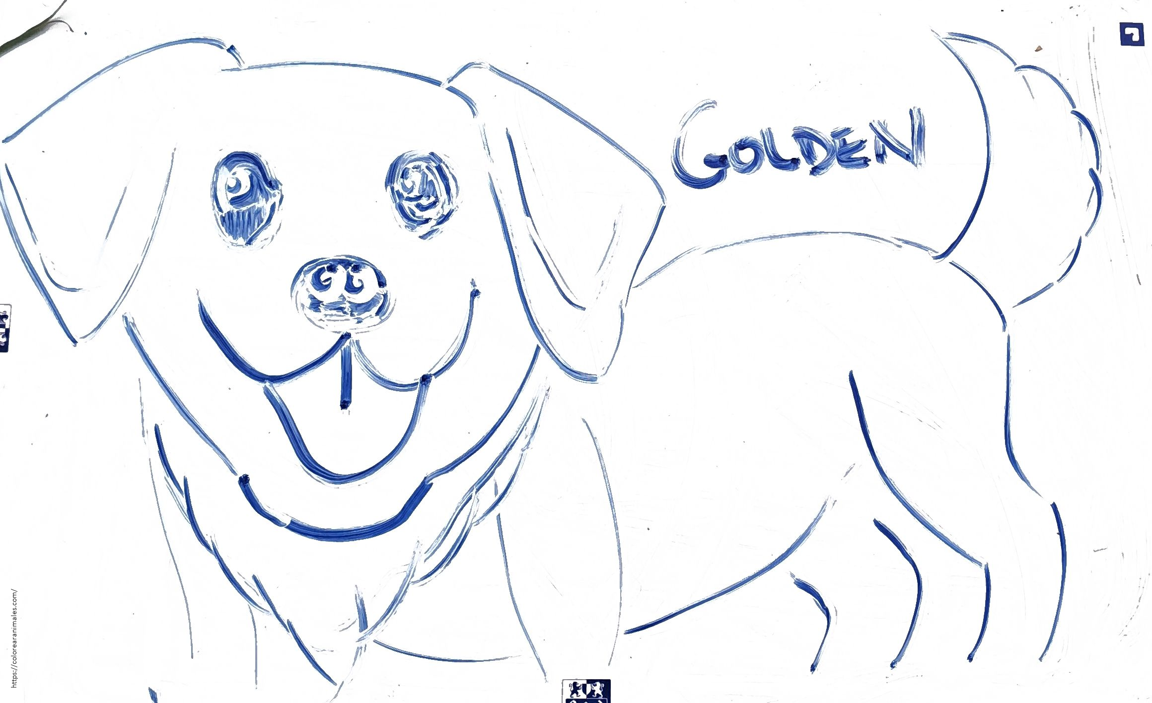 Golden retriever sonriente de cuerpo entero para colorear