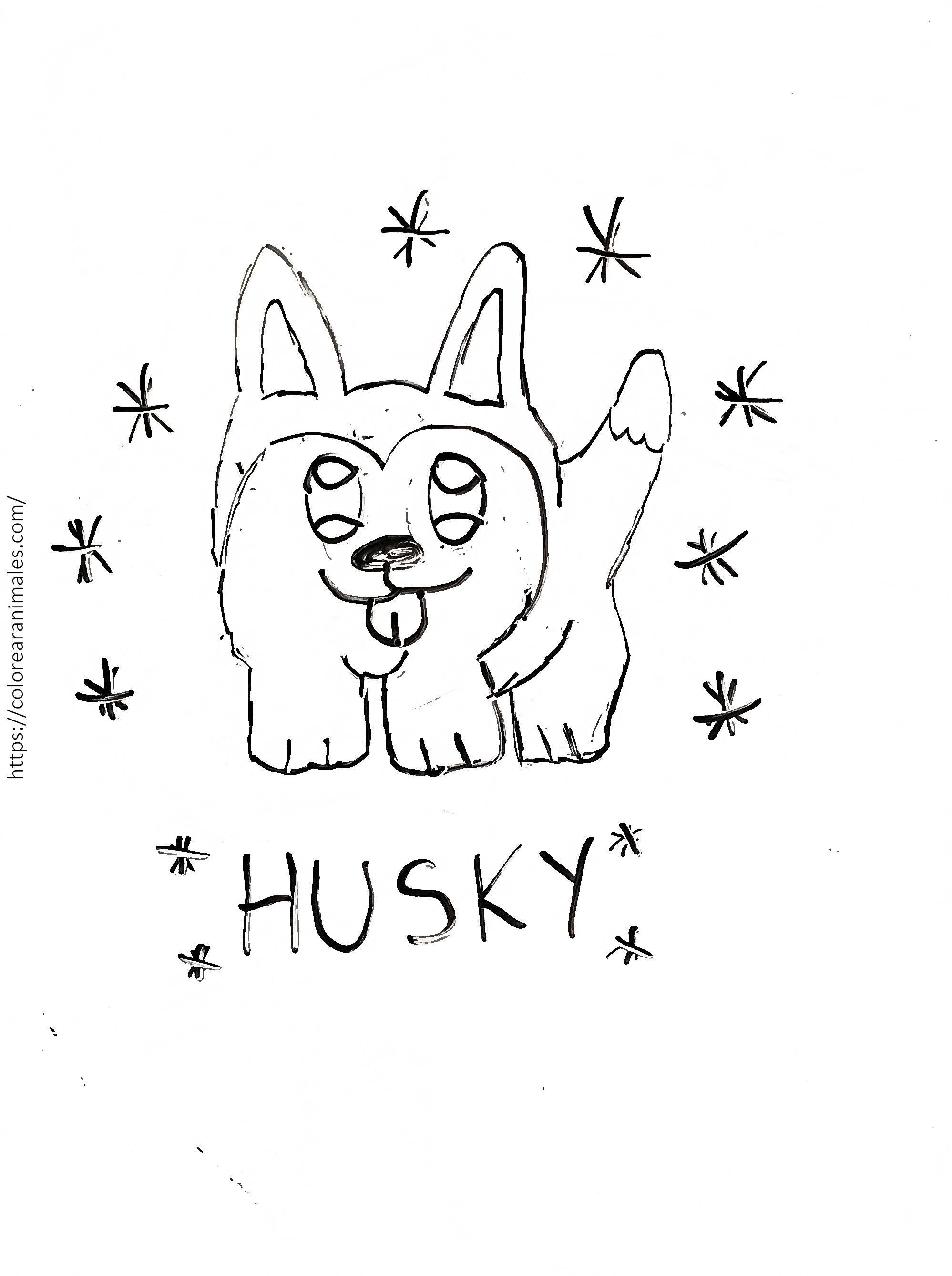 Dibujo para colorear de un cachorro husky sentado rodeado de copos de nieve