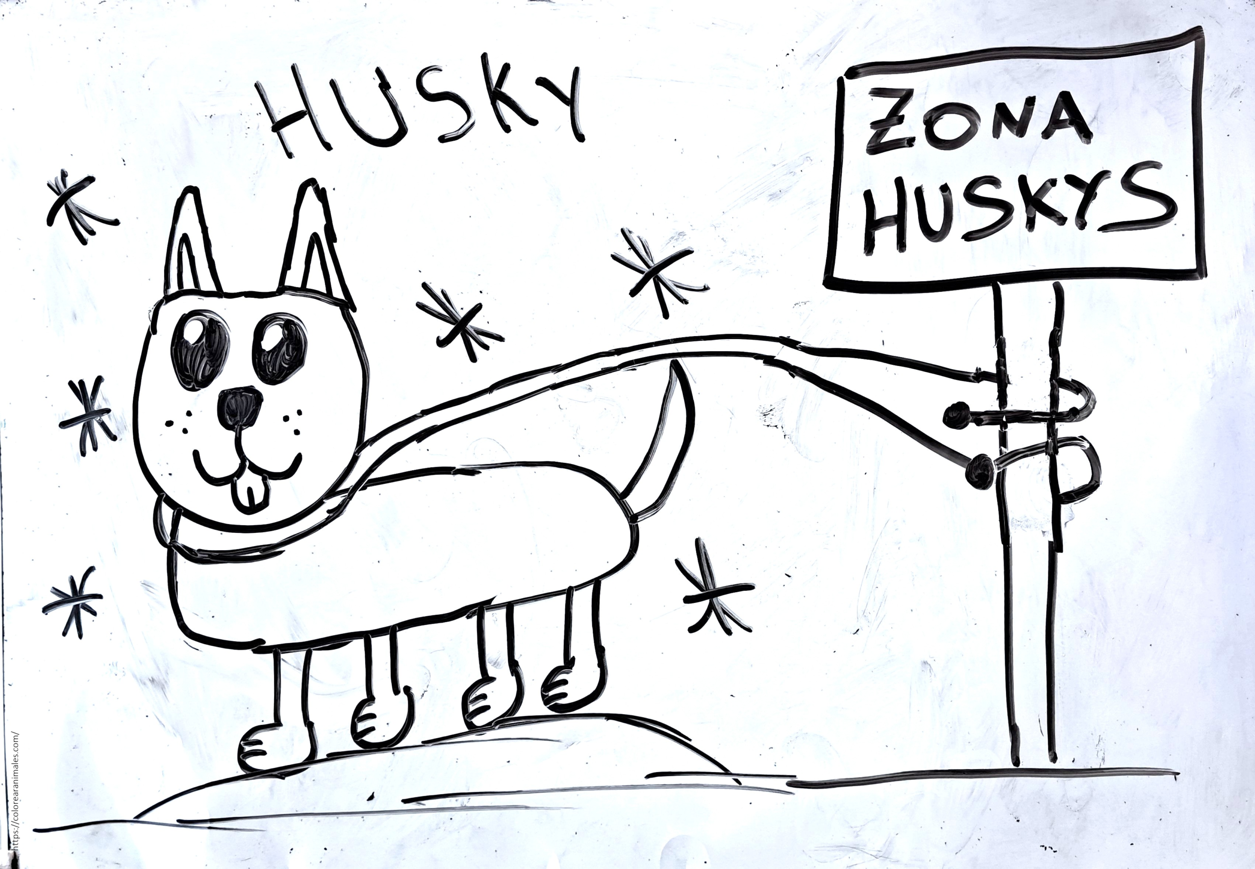 Husky junto a un cartel de zona huskys en la nieve para colorear