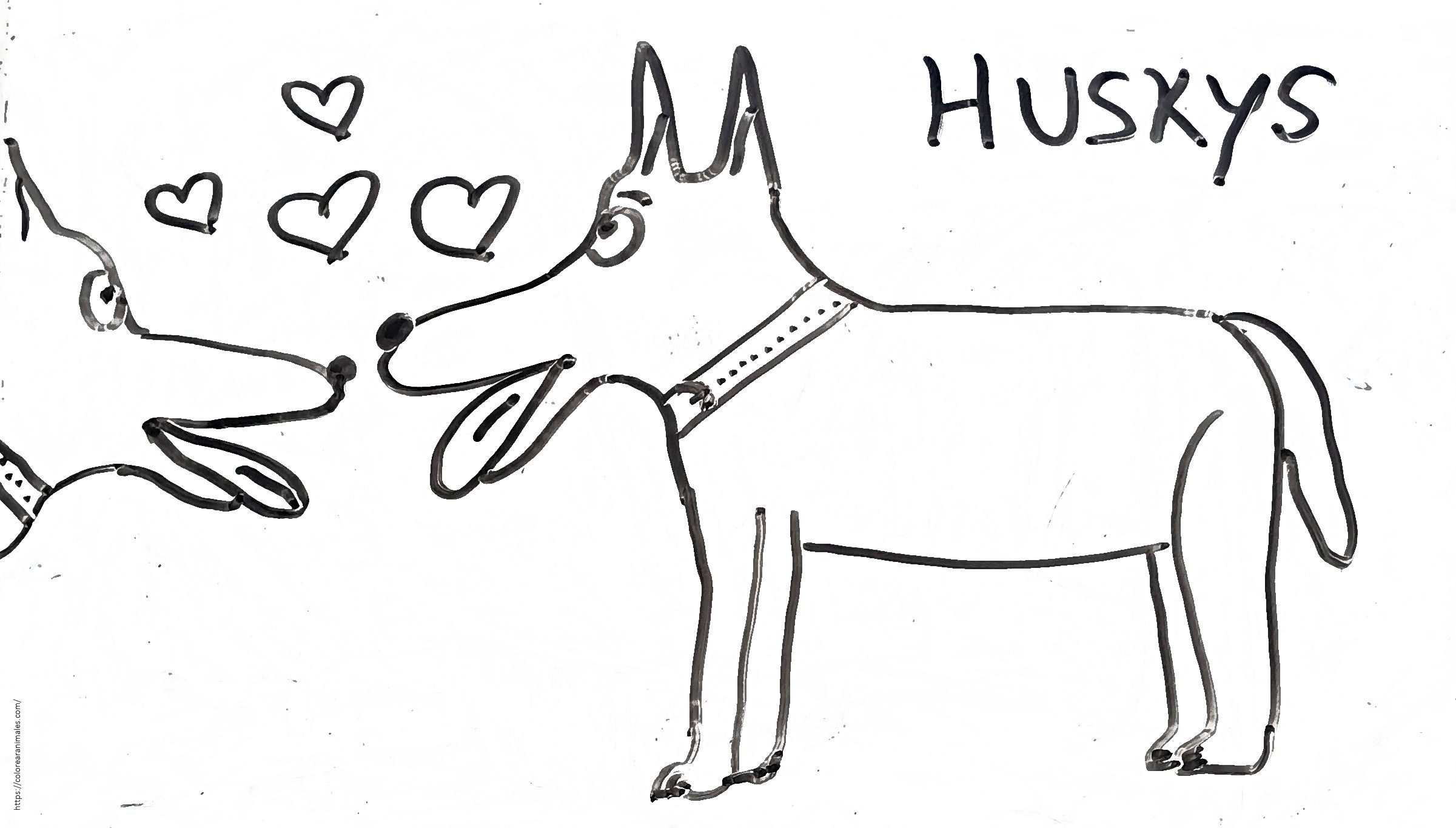 Dos huskys enamorados con corazones para colorear