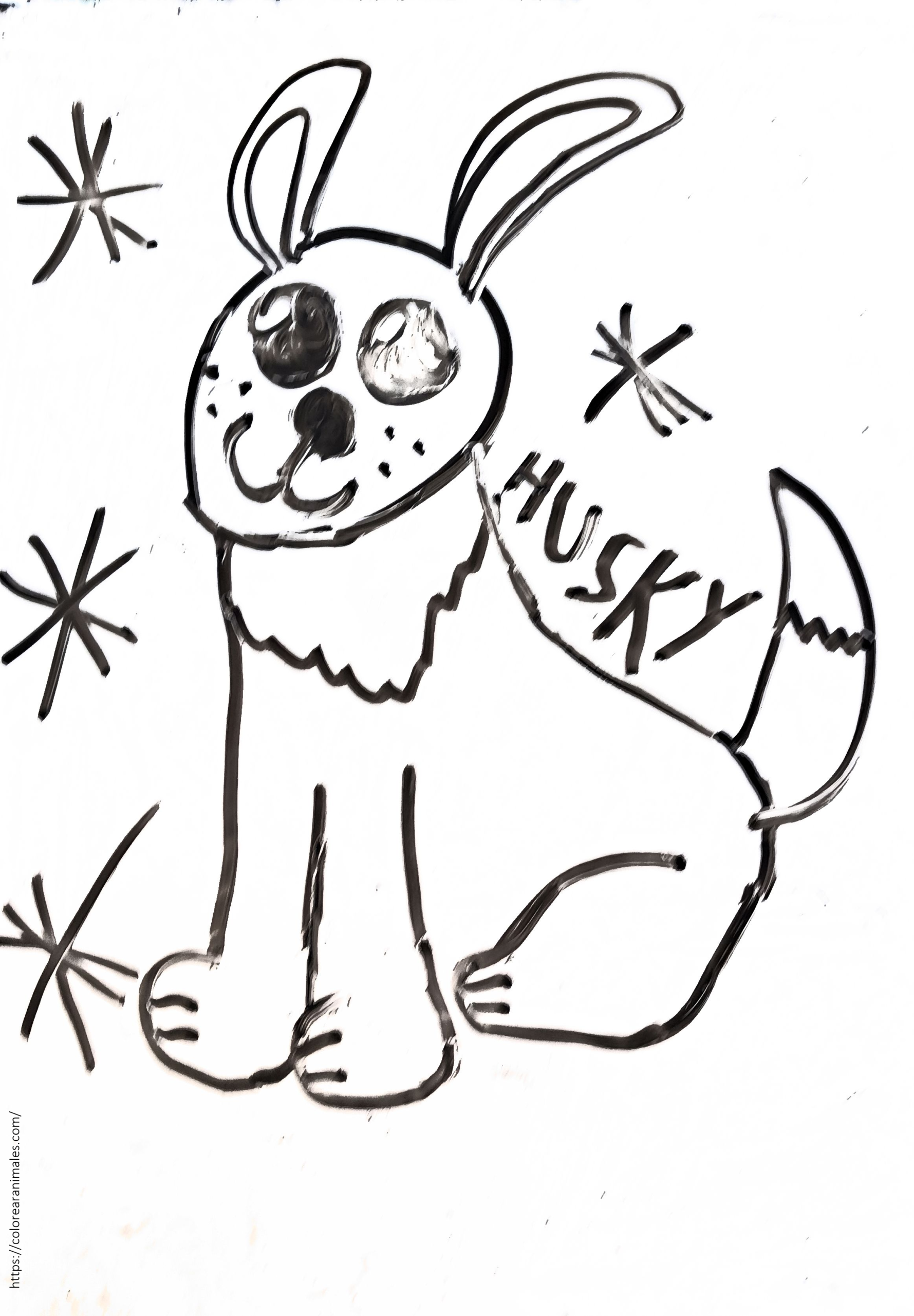 Husky peludo sentado rodeado de estrellas para colorear