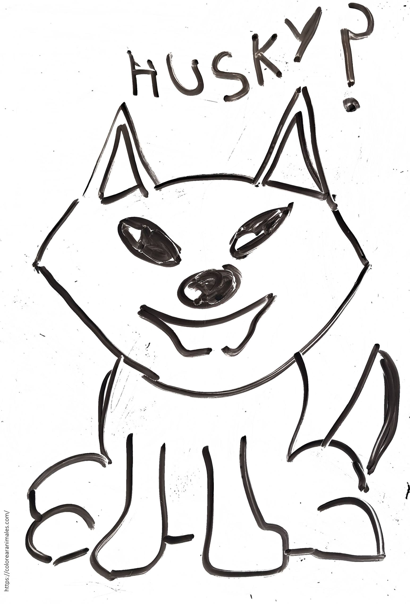 Husky sonriente sentado para colorear