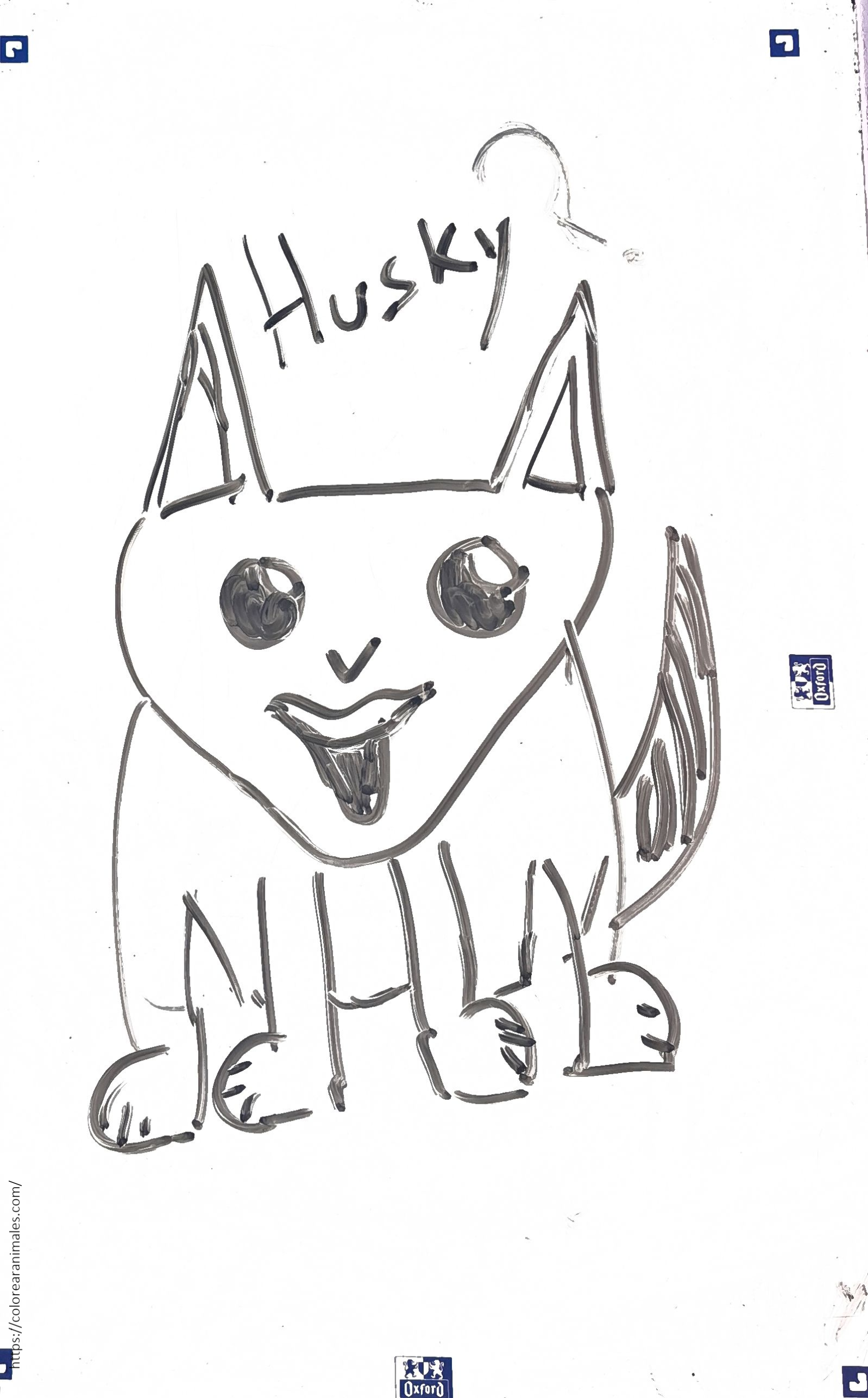 Cachorro de husky con la lengua fuera para colorear
