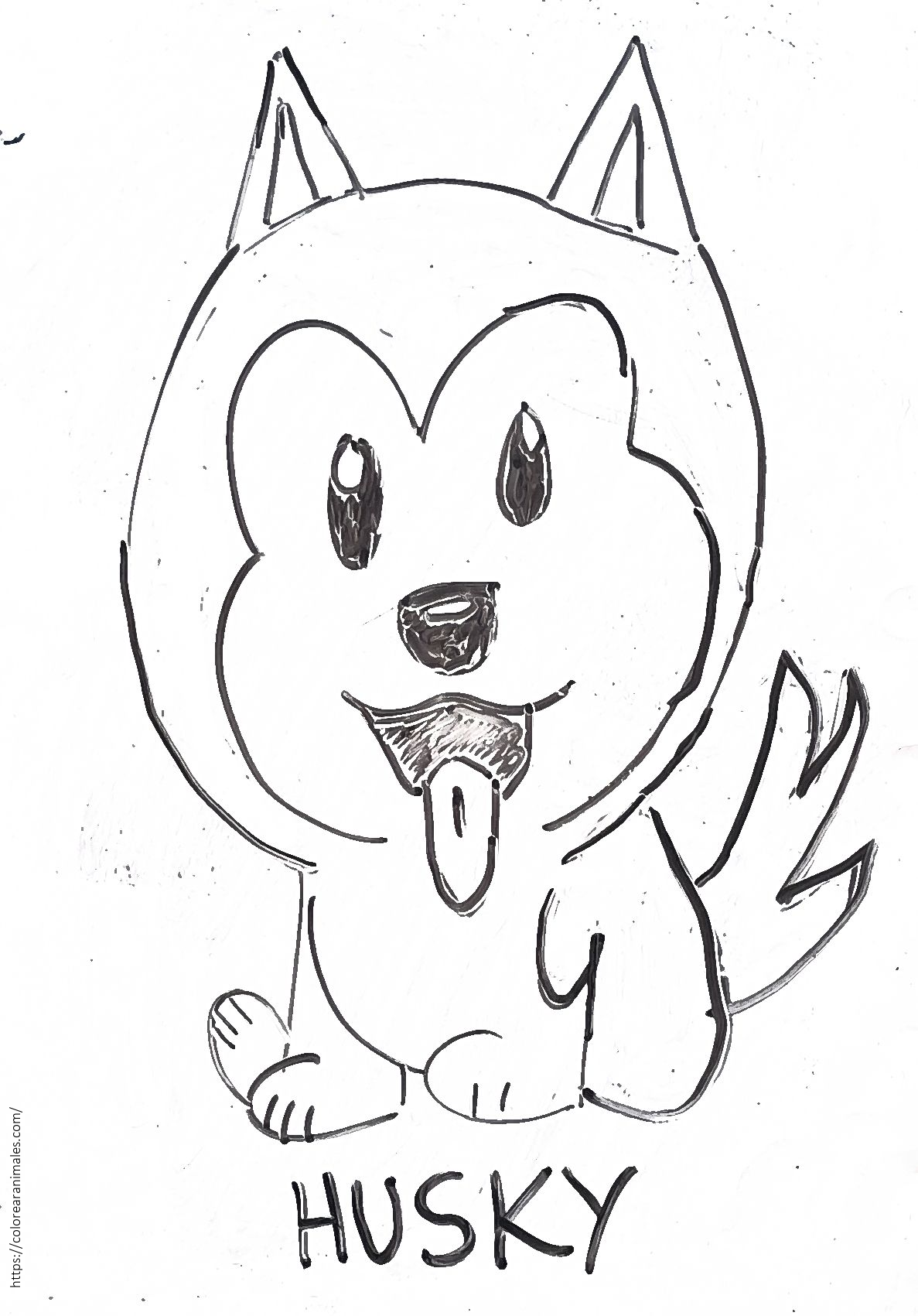 Husky kawaii sentado para colorear