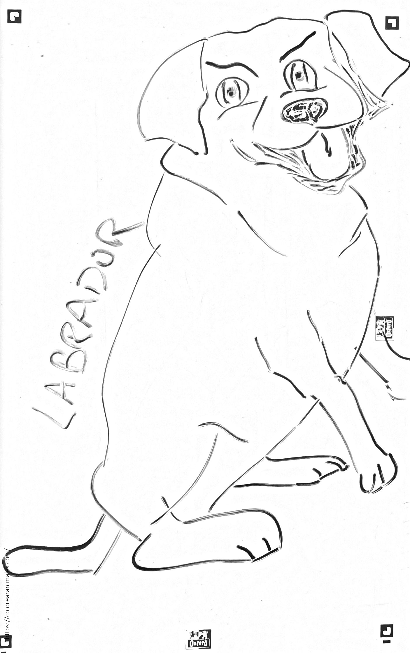 Dibujo de labrador sentado con la boca abierta para colorear