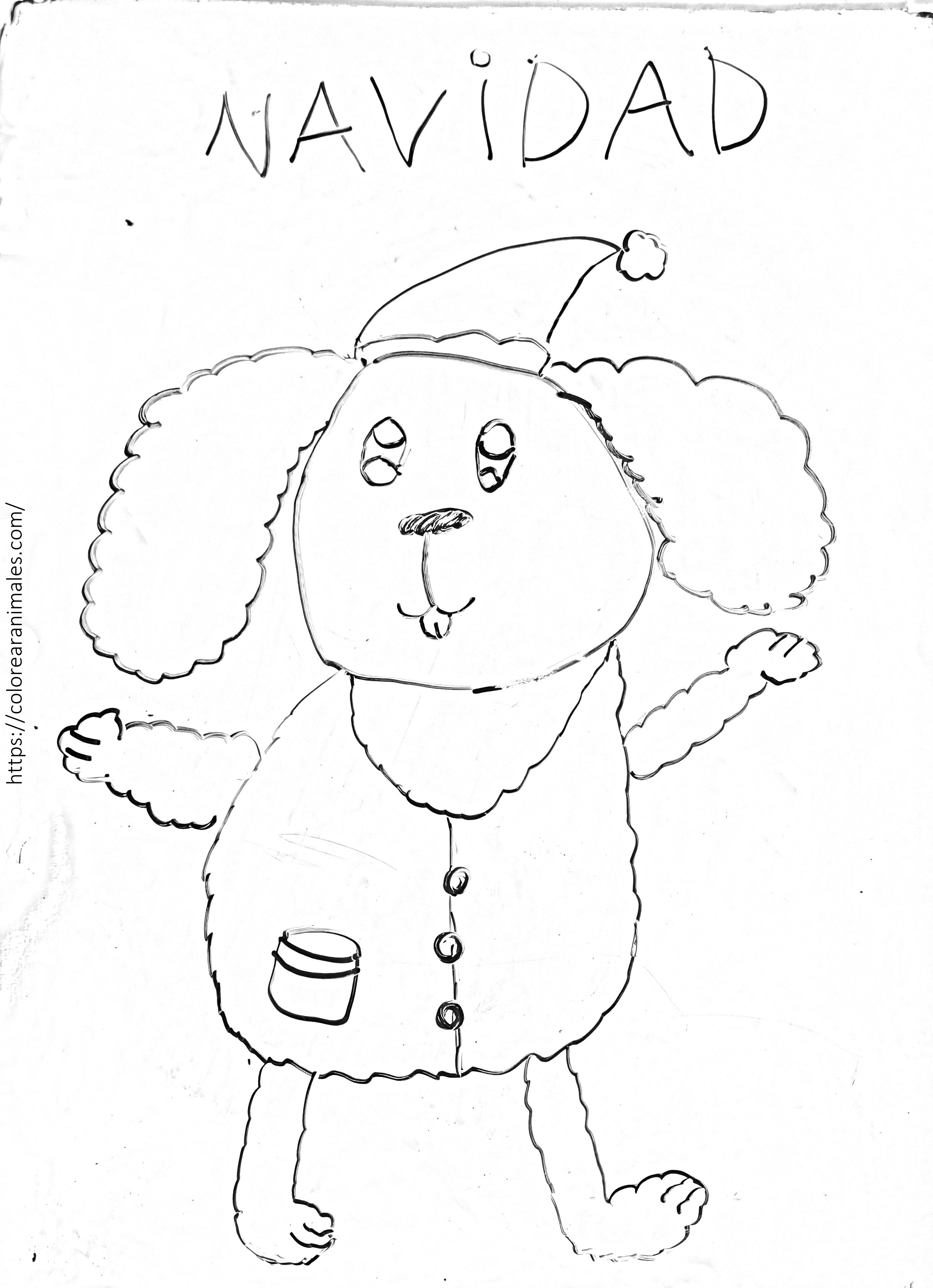 Dibujo para colorear de un perro caniche de Navidad con gorro y abrigo con botones