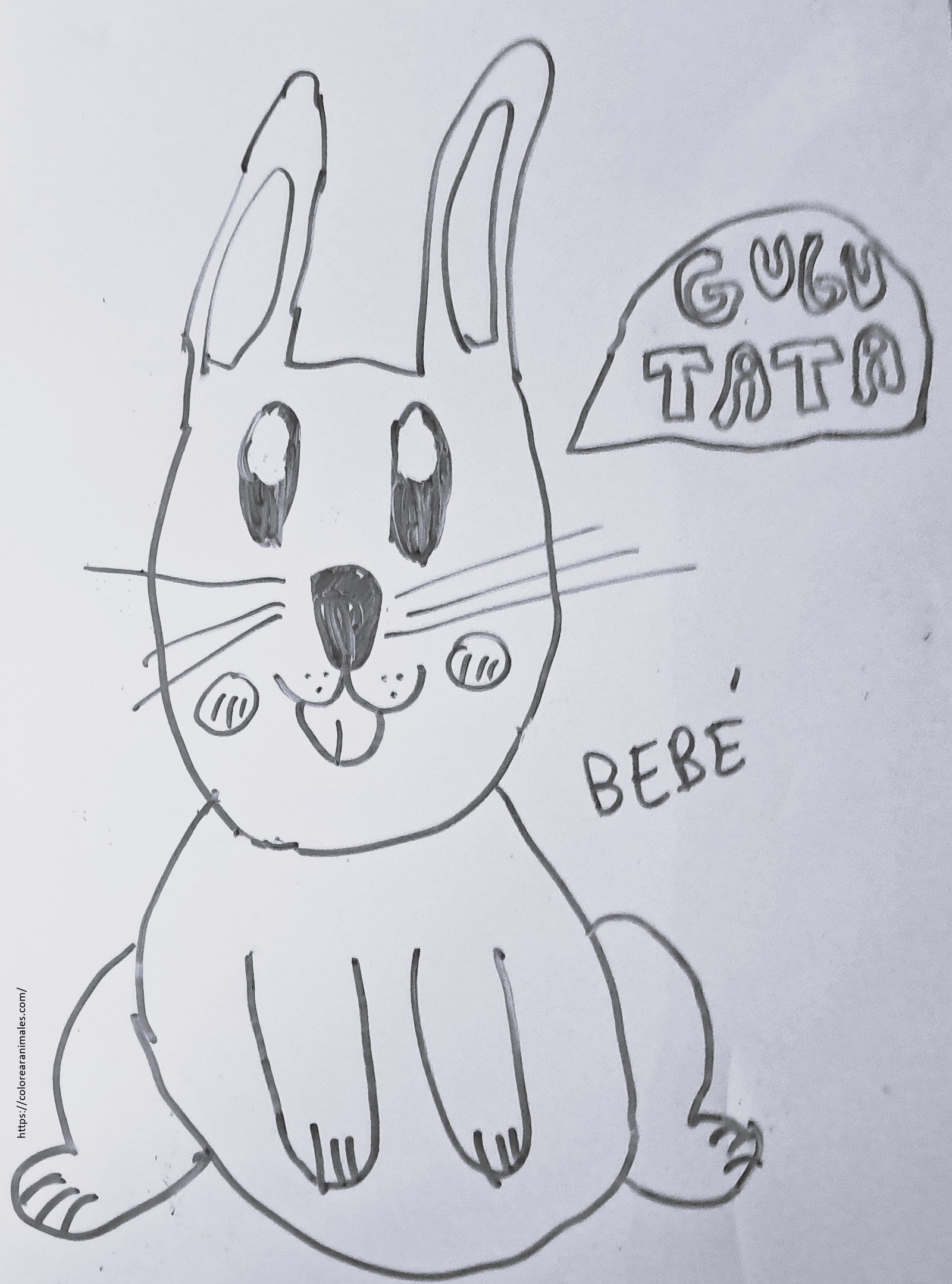 dibujo de conejo bebe con un cartel para colorear a lapiz, tierno para ninos