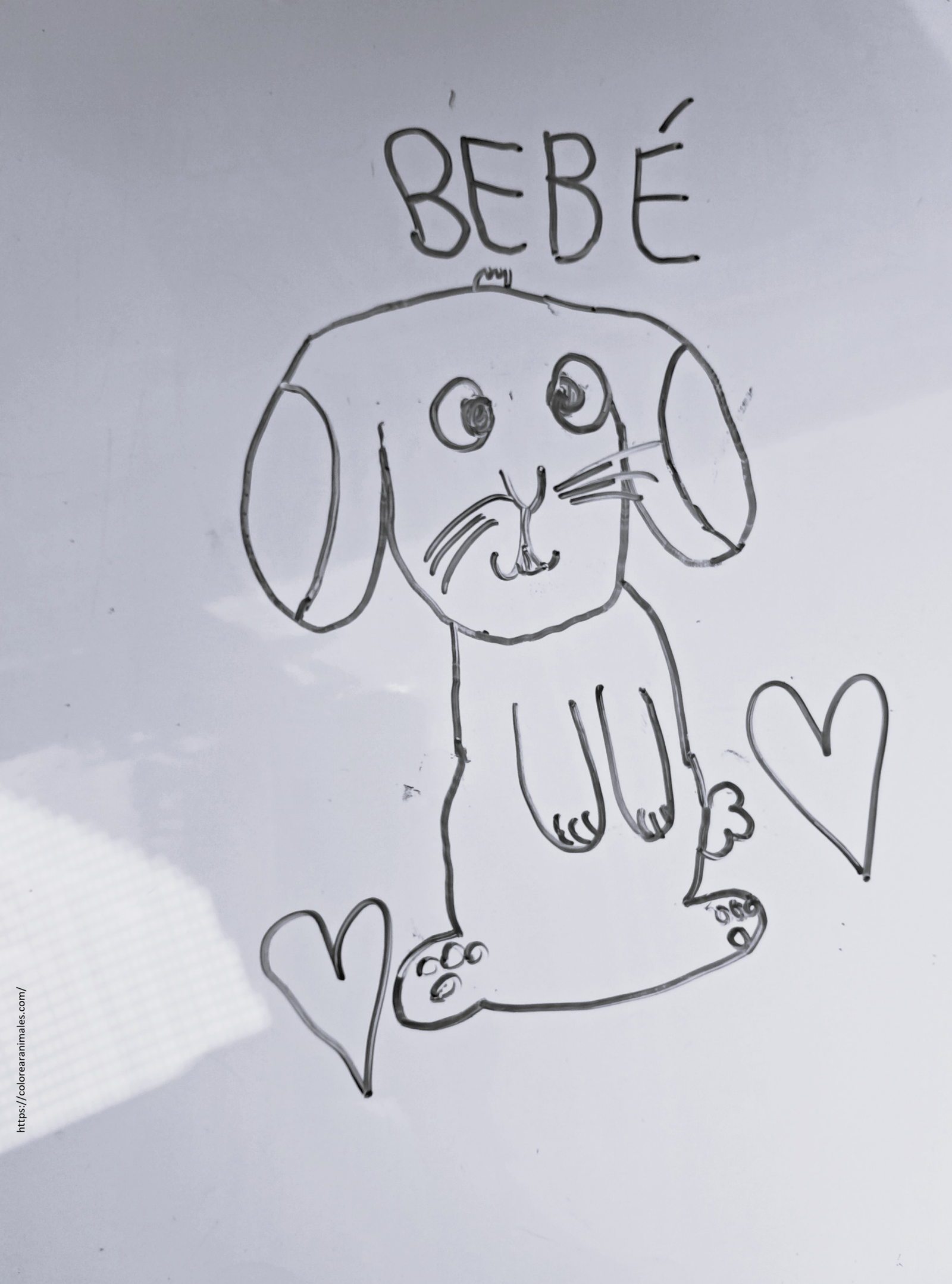 dibujo de conejo bebe de orejas caidas con un corazon para colorear, tierno para ninos