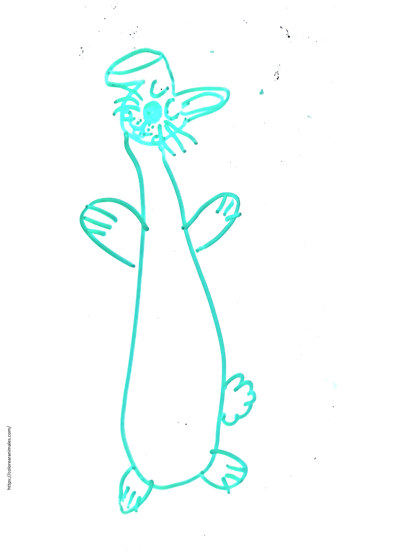 dibujo de conejo estirado de pie para colorear a lapiz, gracioso y tierno para ninos