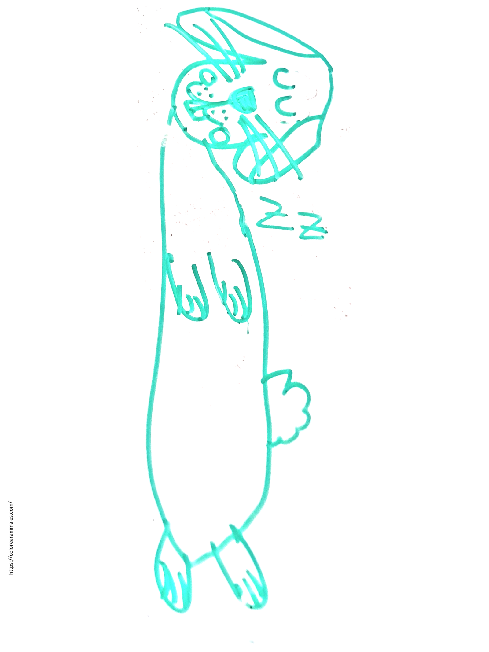 dibujo de conejo durmiendo de pie para colorear a lapiz, con zzz de sueno para ninos