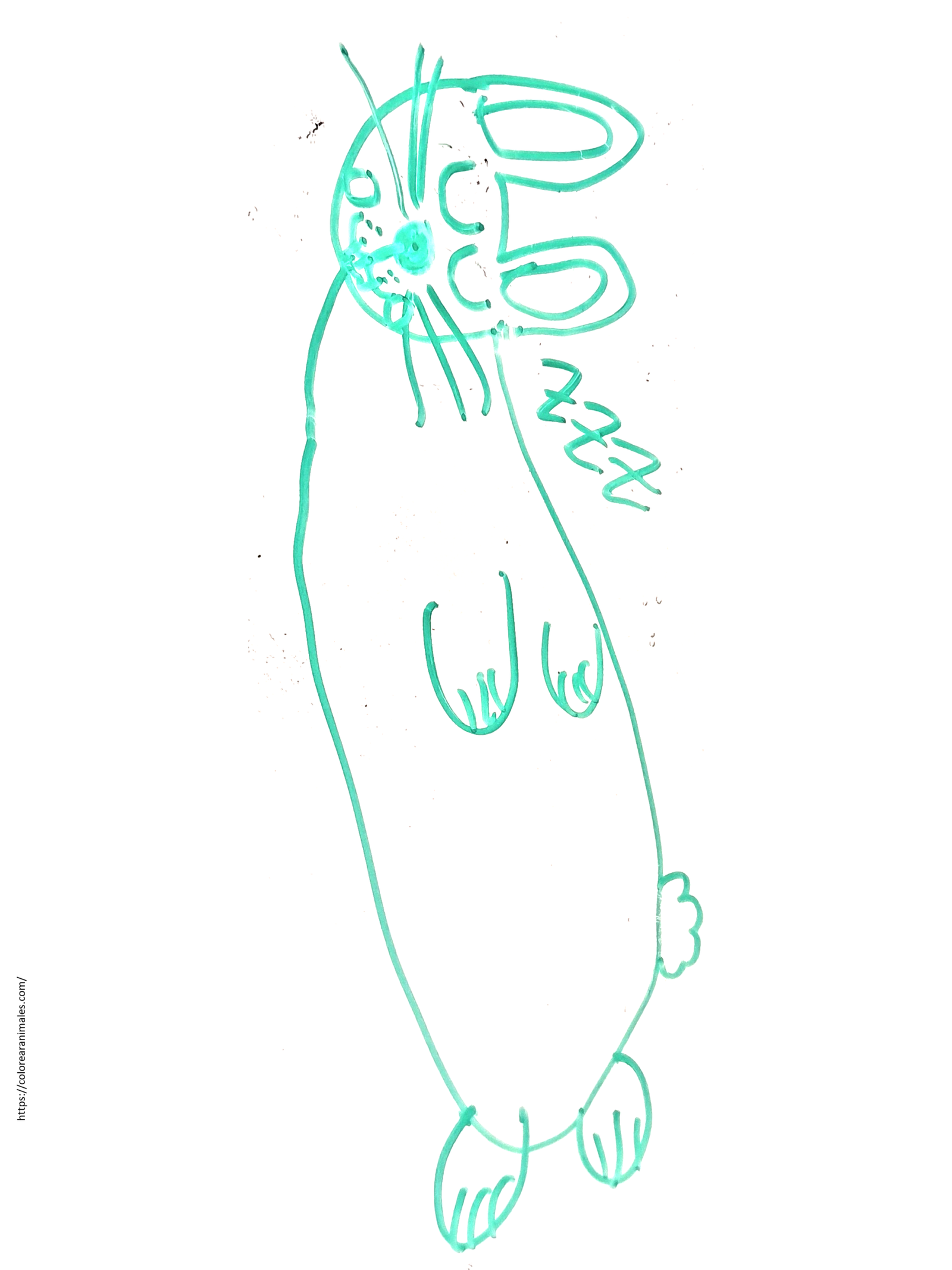 dibujo de conejo dormido para colorear a lapiz, relajado y tierno para ninos