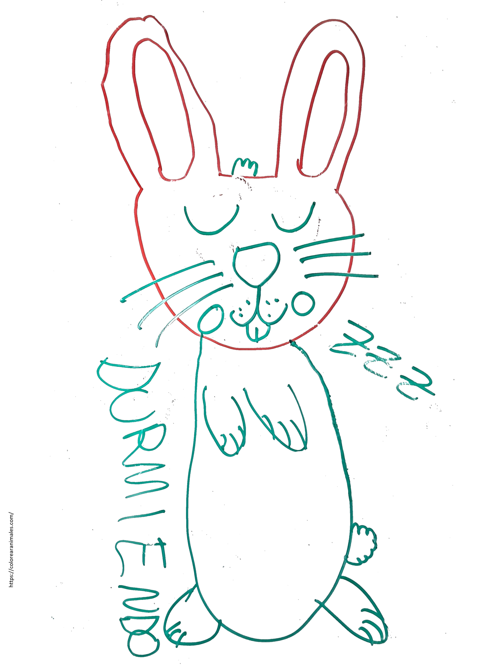 dibujo de conejo durmiendo de pie con carita feliz para colorear a lapiz, tierno para ninos