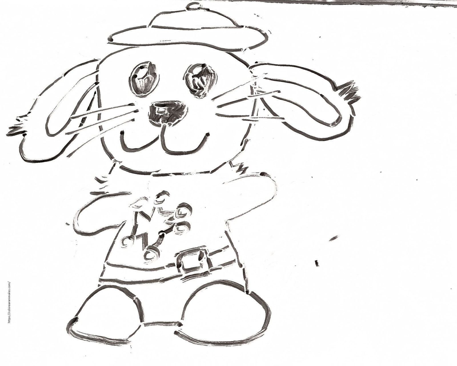 dibujo de conejo mini lop de orejas caidas para colorear a lapiz, raza de conejo tierna para ninos
