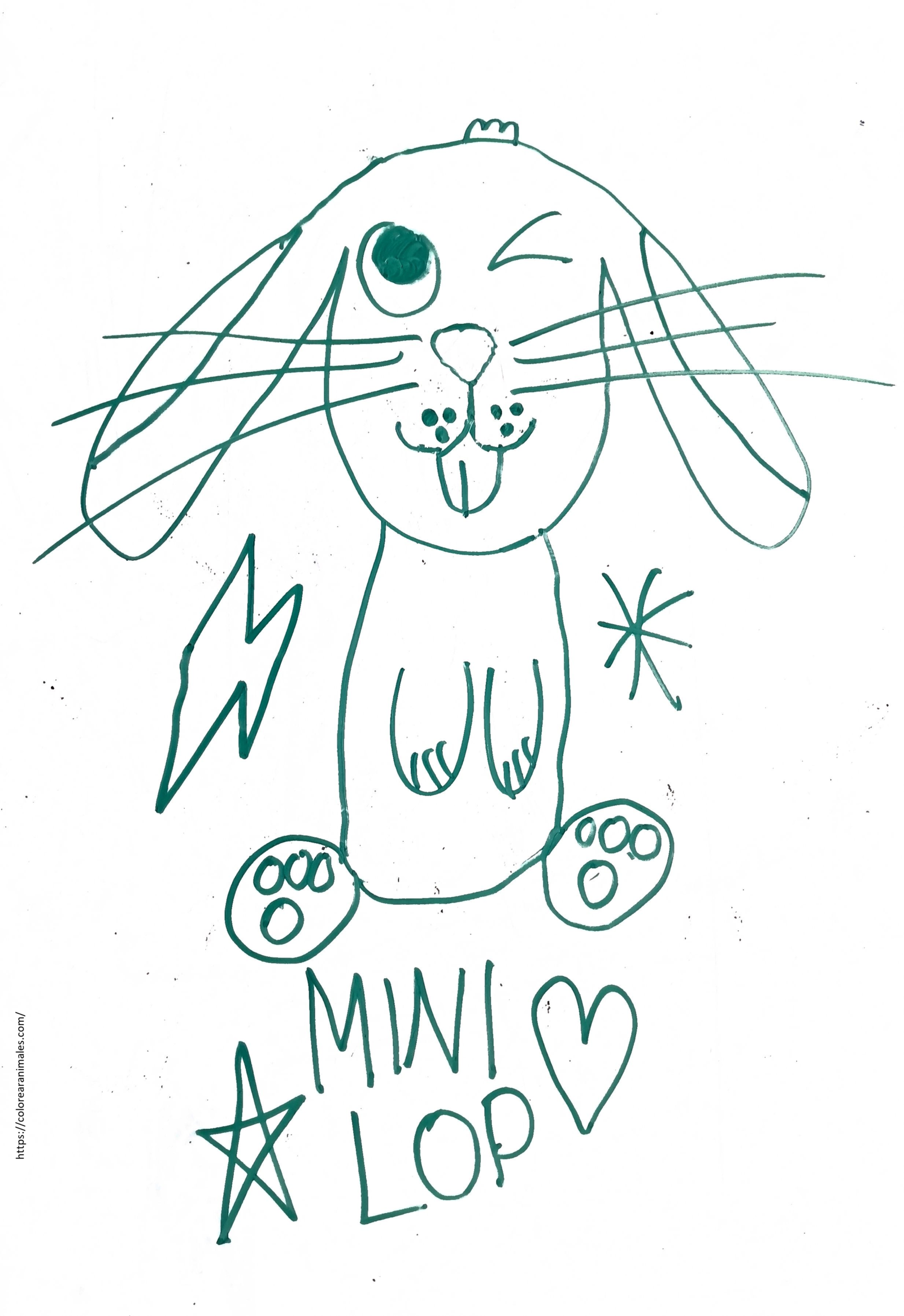 dibujo de conejo mini lop guinando un ojo para colorear a lapiz, simpatico para ninos