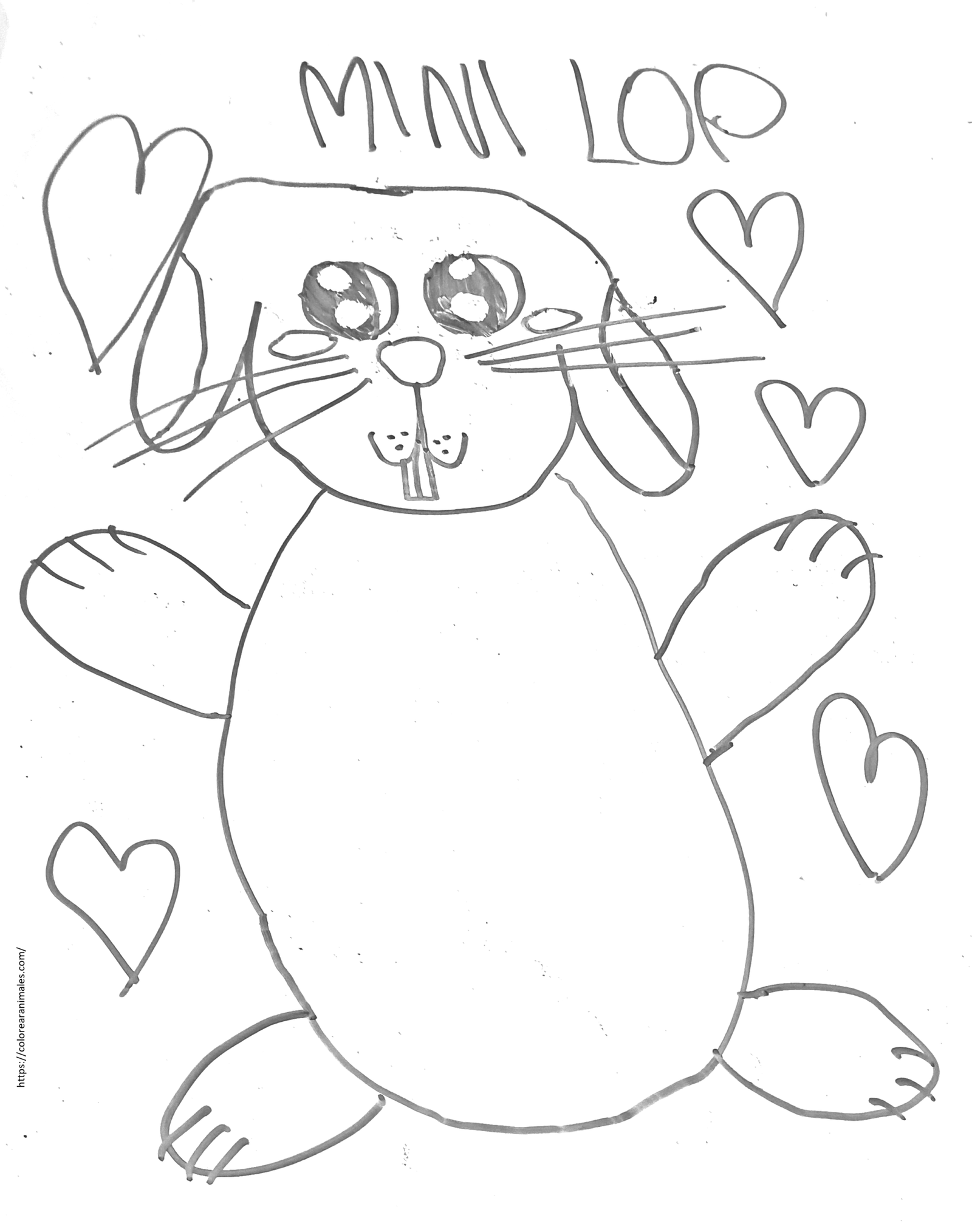 dibujo de conejo mini lop rodeado de corazones para colorear a lapiz, tierno para ninos