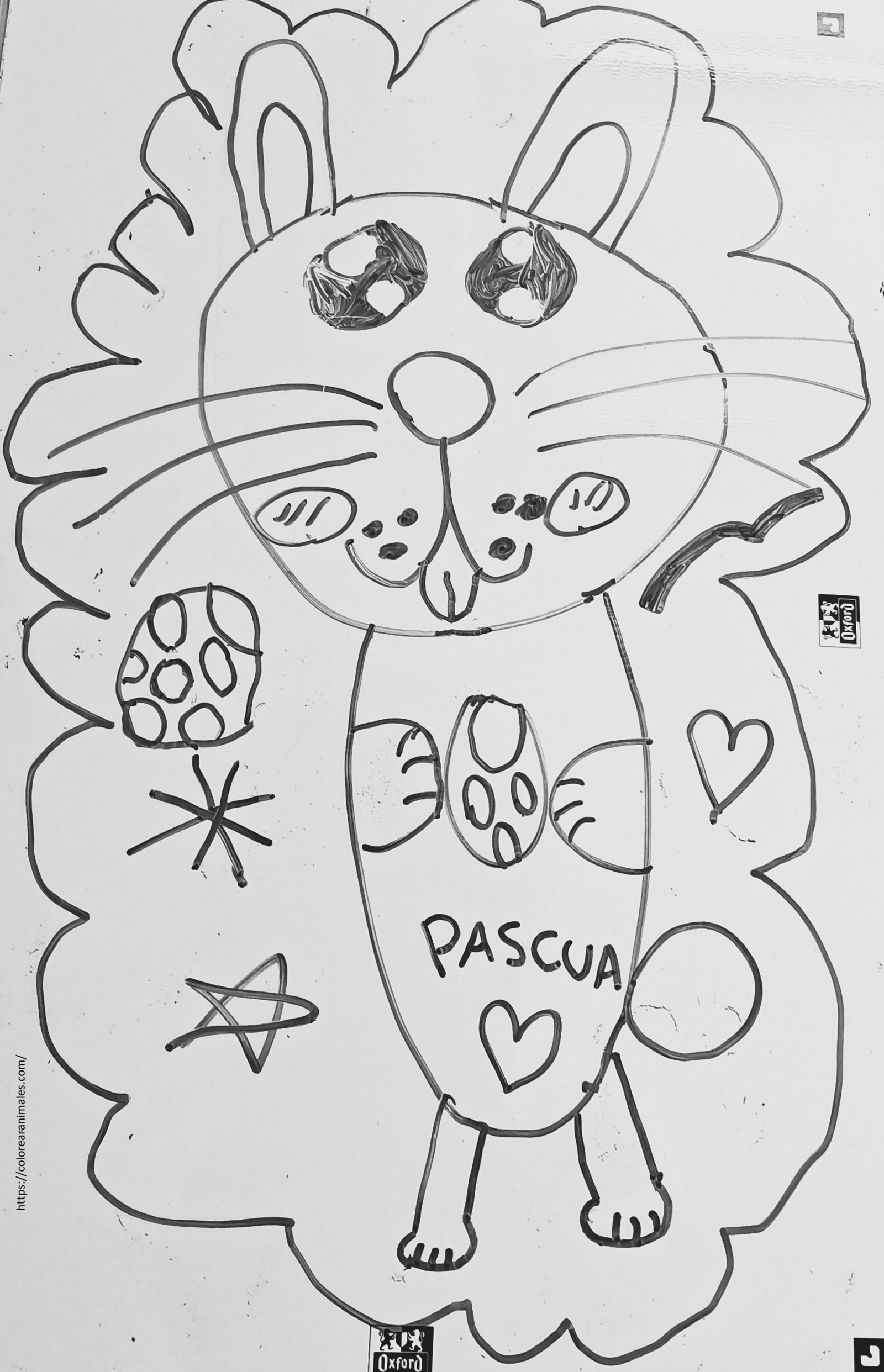 dibujo de conejo de Pascua esponjoso para colorear, ideal para Semana Santa y ninos