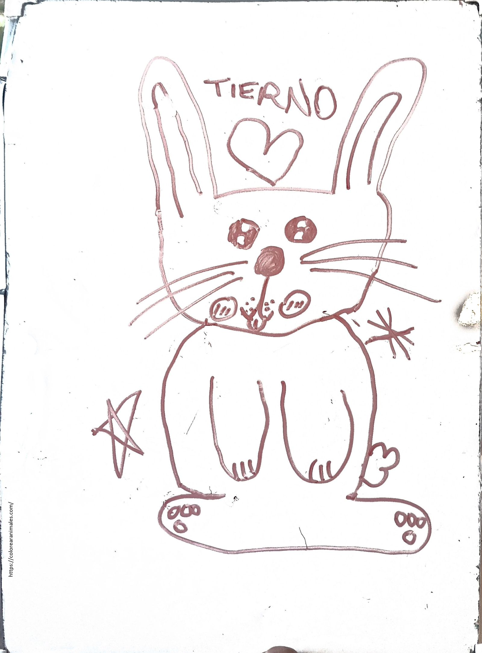 dibujo de conejo tierno de mejillas grandes para colorear a lapiz, adorable para ninos