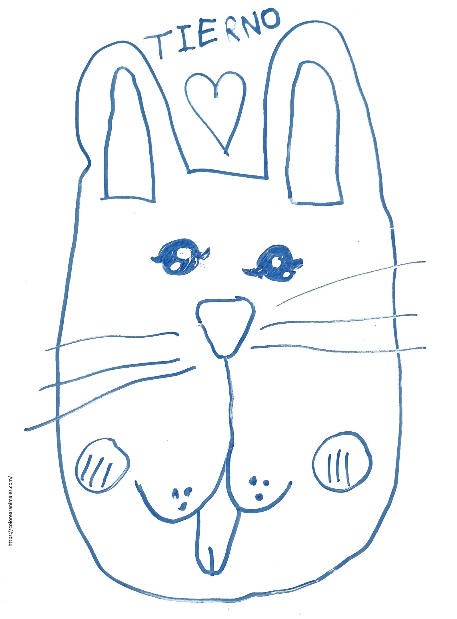 dibujo de cara de conejo tierno de frente para colorear a lapiz, con bigotes para ninos