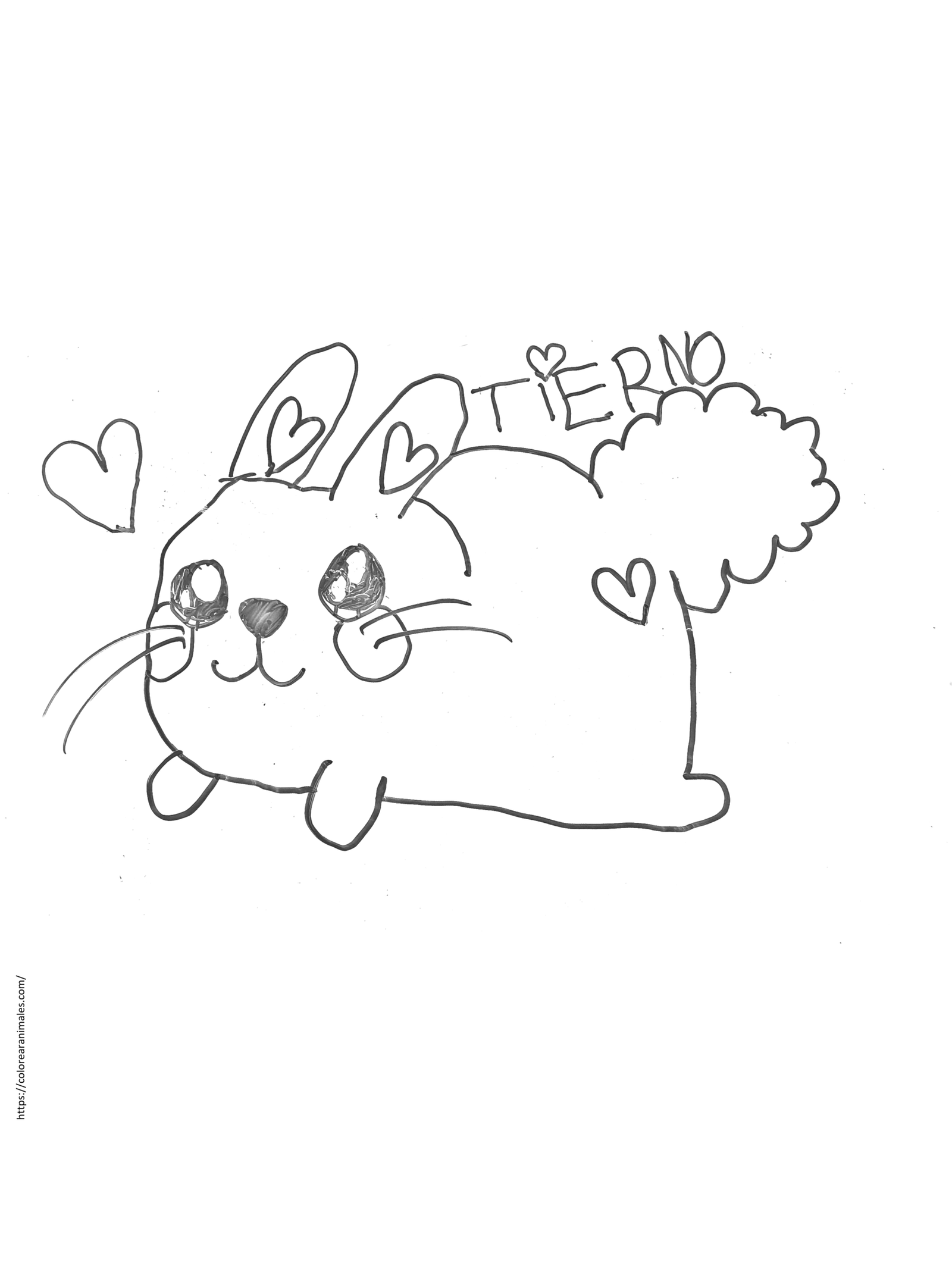 dibujo de conejo tierno tumbado con cola esponjosa para colorear a lapiz, dulce para ninos